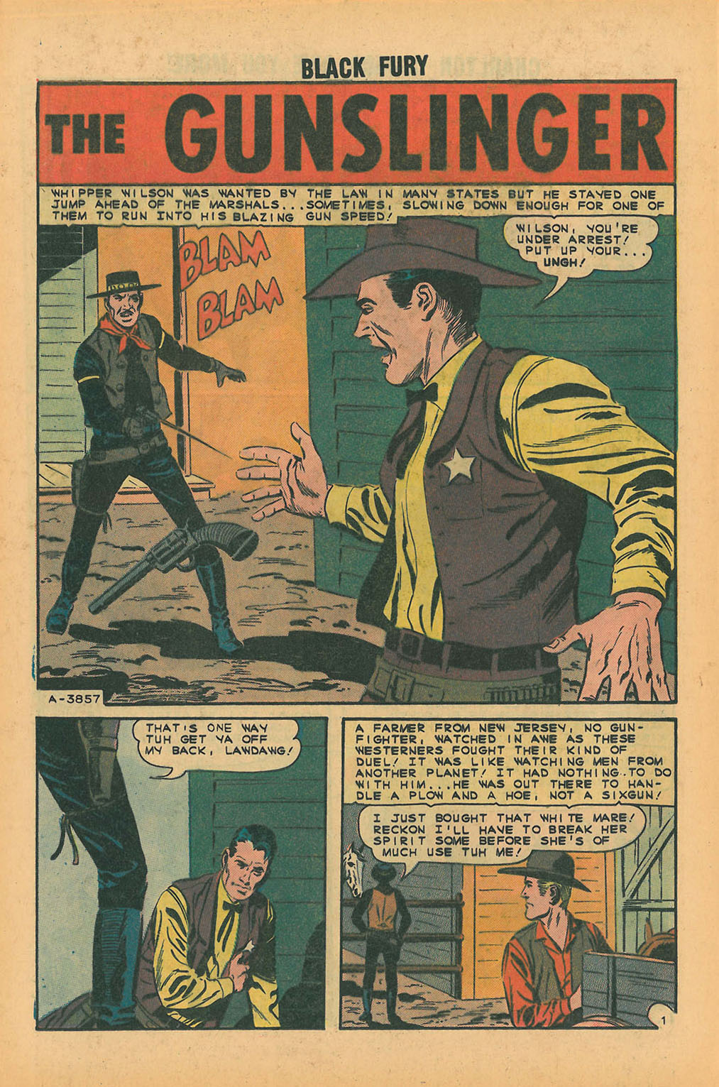 Black Fury issue 51 - Page 12