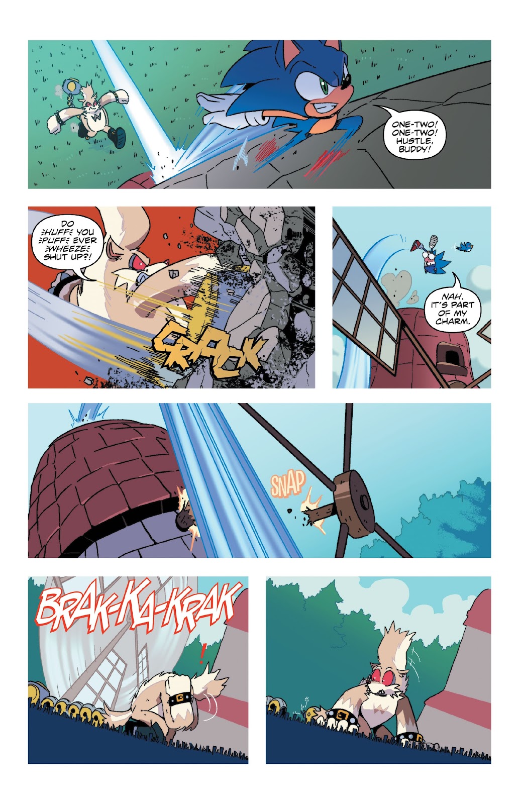 Sonic the Hedgehog: Sonic & Tails: Best Buds Forever issue TPB - Page 47