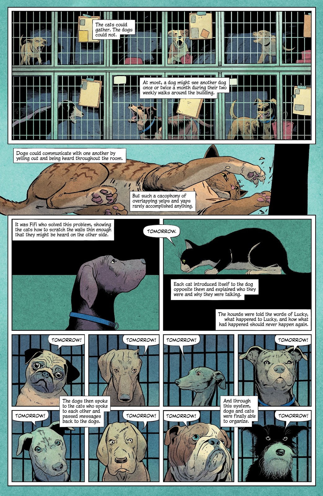 Animal Pound issue 1 - Page 14