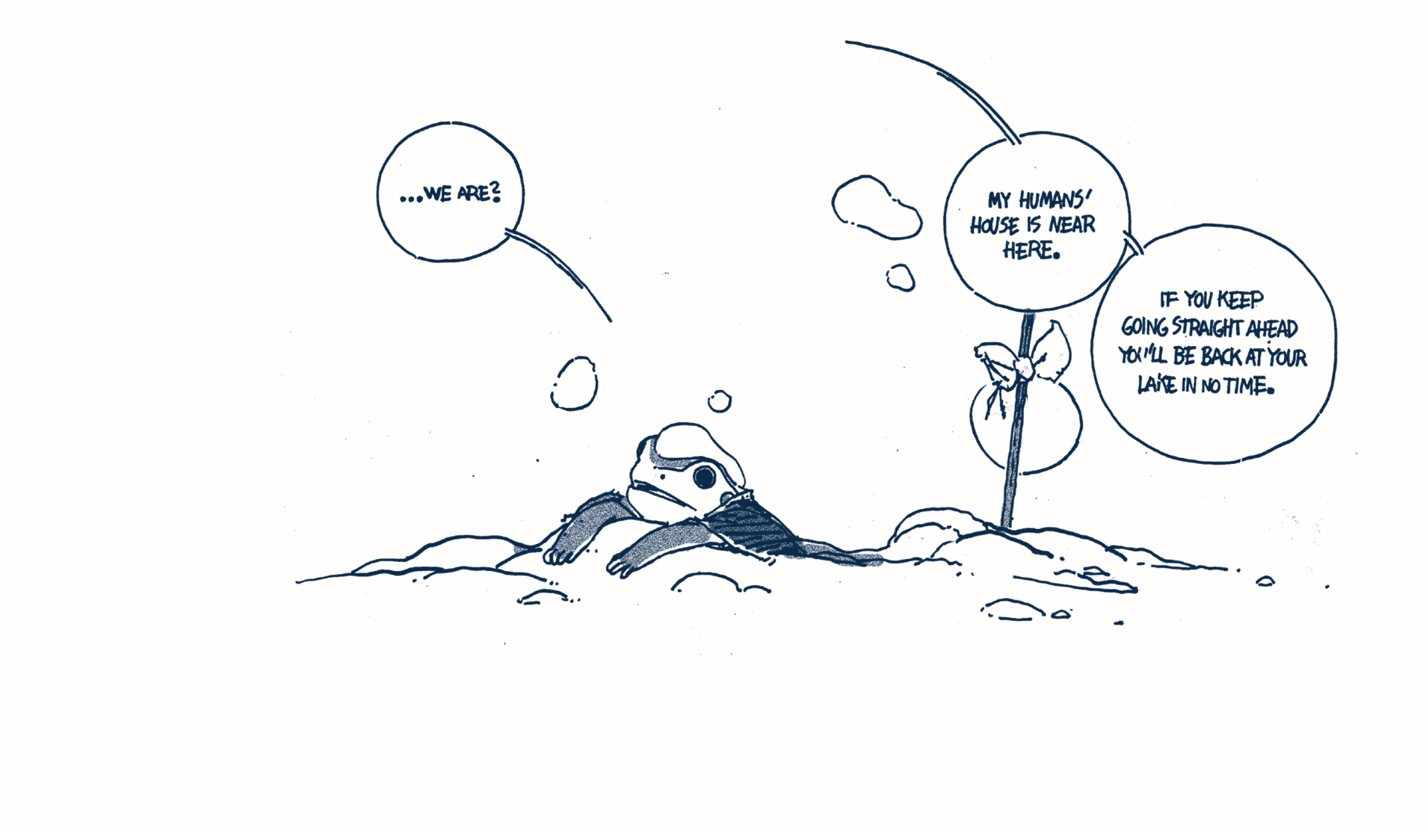 Read online A Frog in the Fall comic -  Issue # TPB (Part 3) - 10