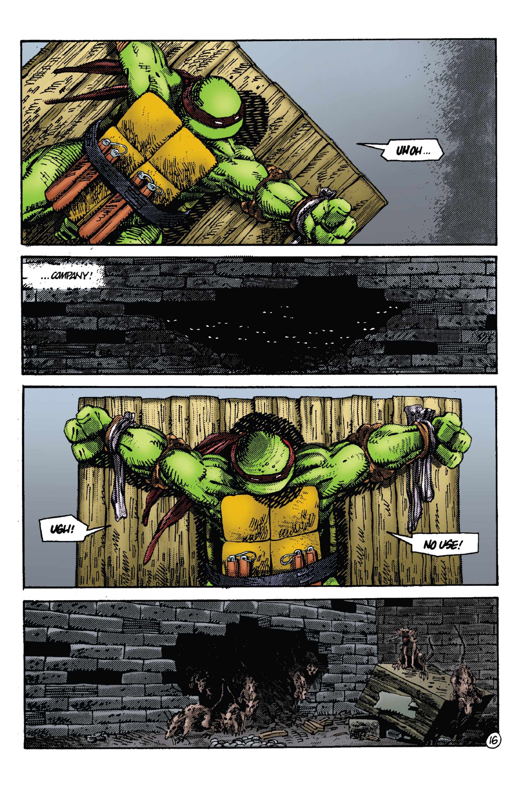 Read online Teenage Mutant Ninja Turtles: Best Of comic -  Issue # Best of Rat King - 20