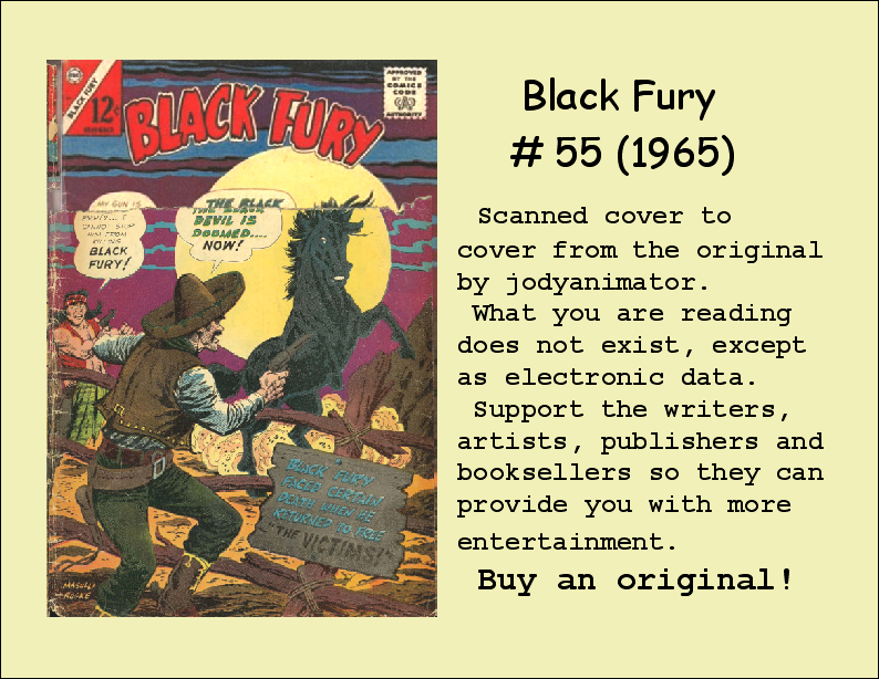 Black Fury issue 55 - Page 37