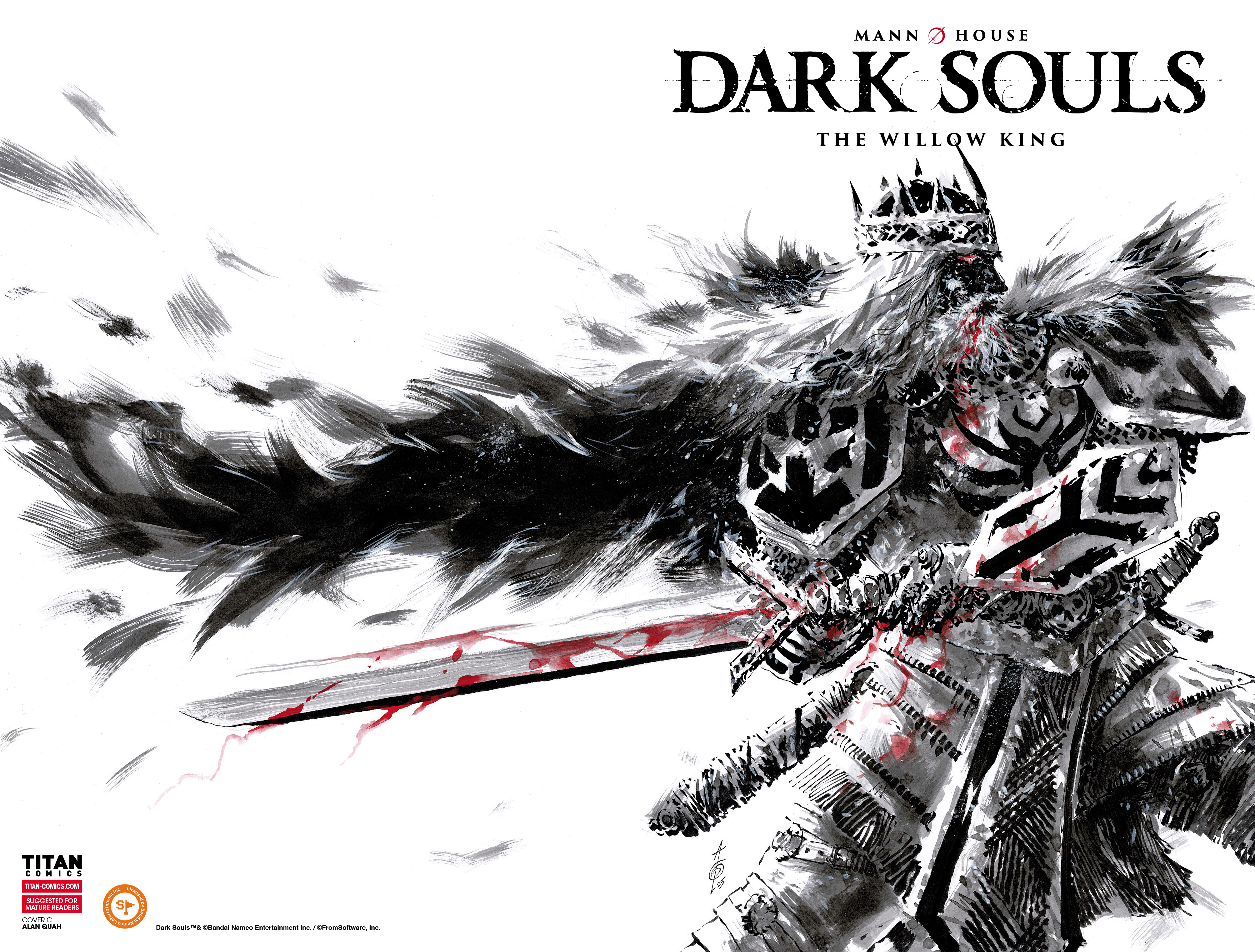 Read online Dark Souls: The Willow King comic -  Issue #1 - 3