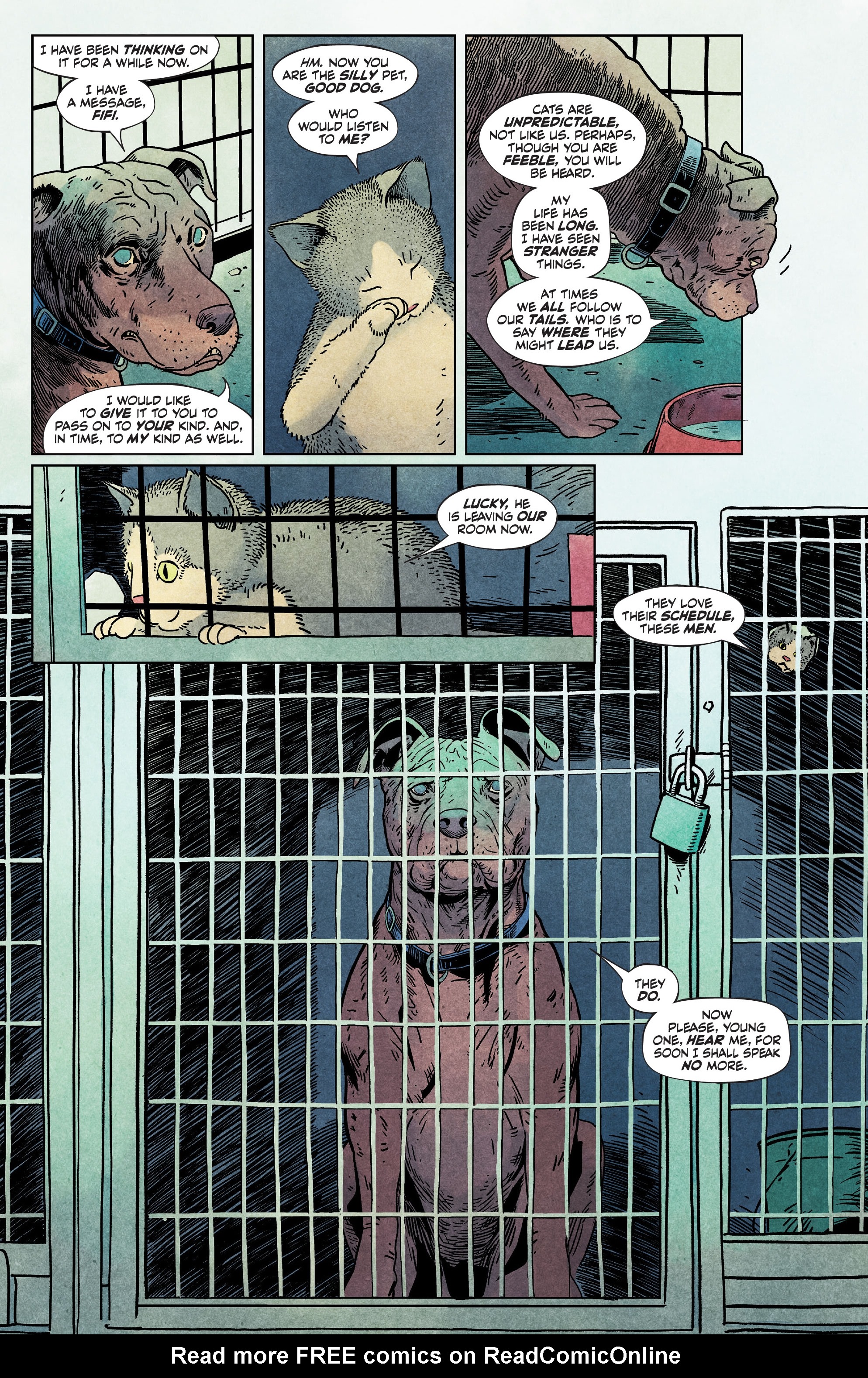 Read online Animal Pound comic -  Issue #1 - 4