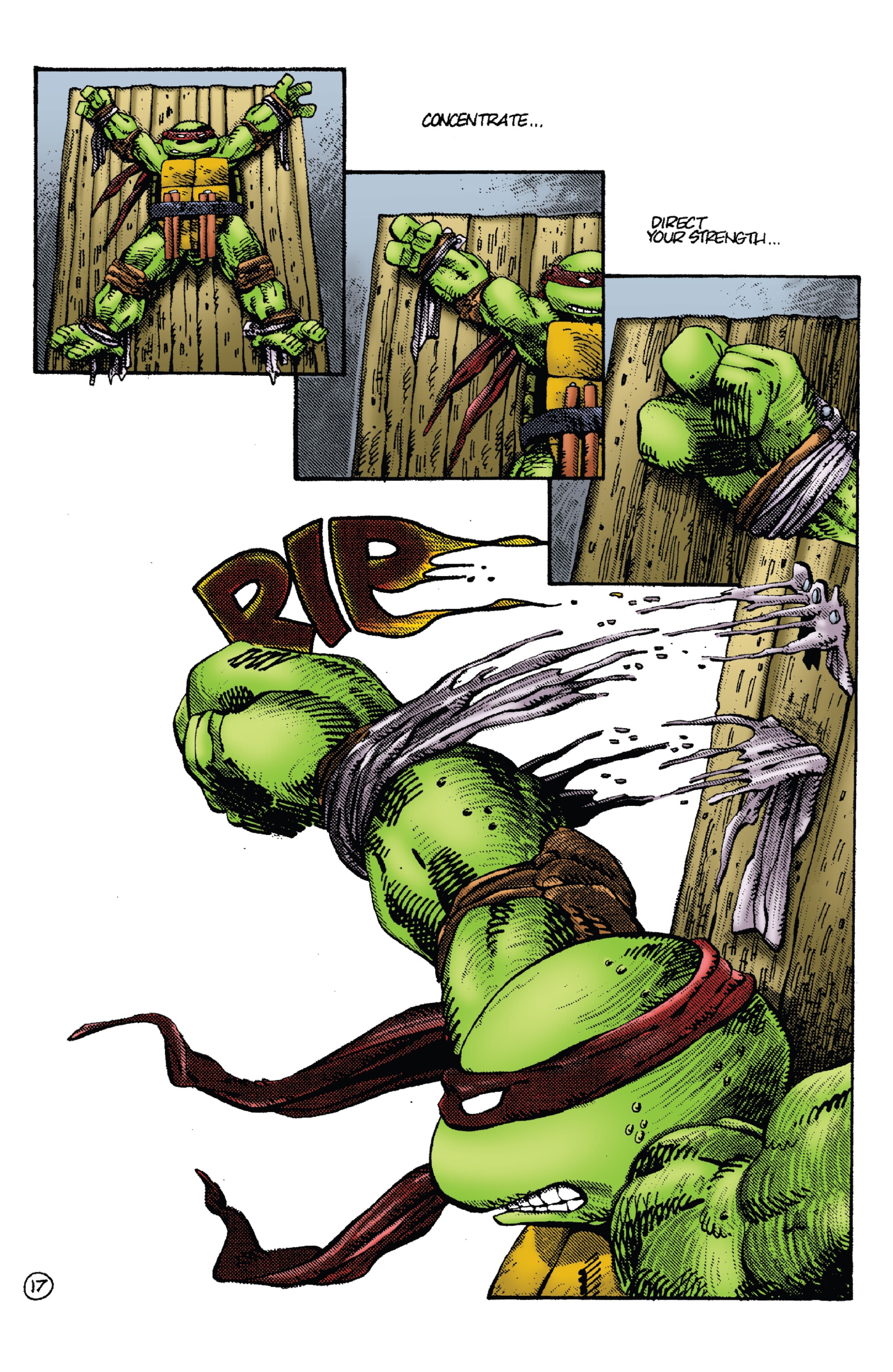 Read online Teenage Mutant Ninja Turtles: Best Of comic -  Issue # Best of Rat King - 21