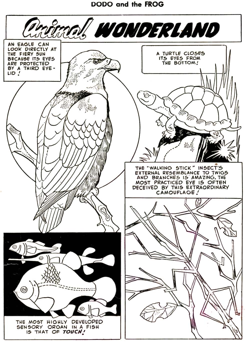 Read online Dodo and The Frog comic -  Issue #92 - 2