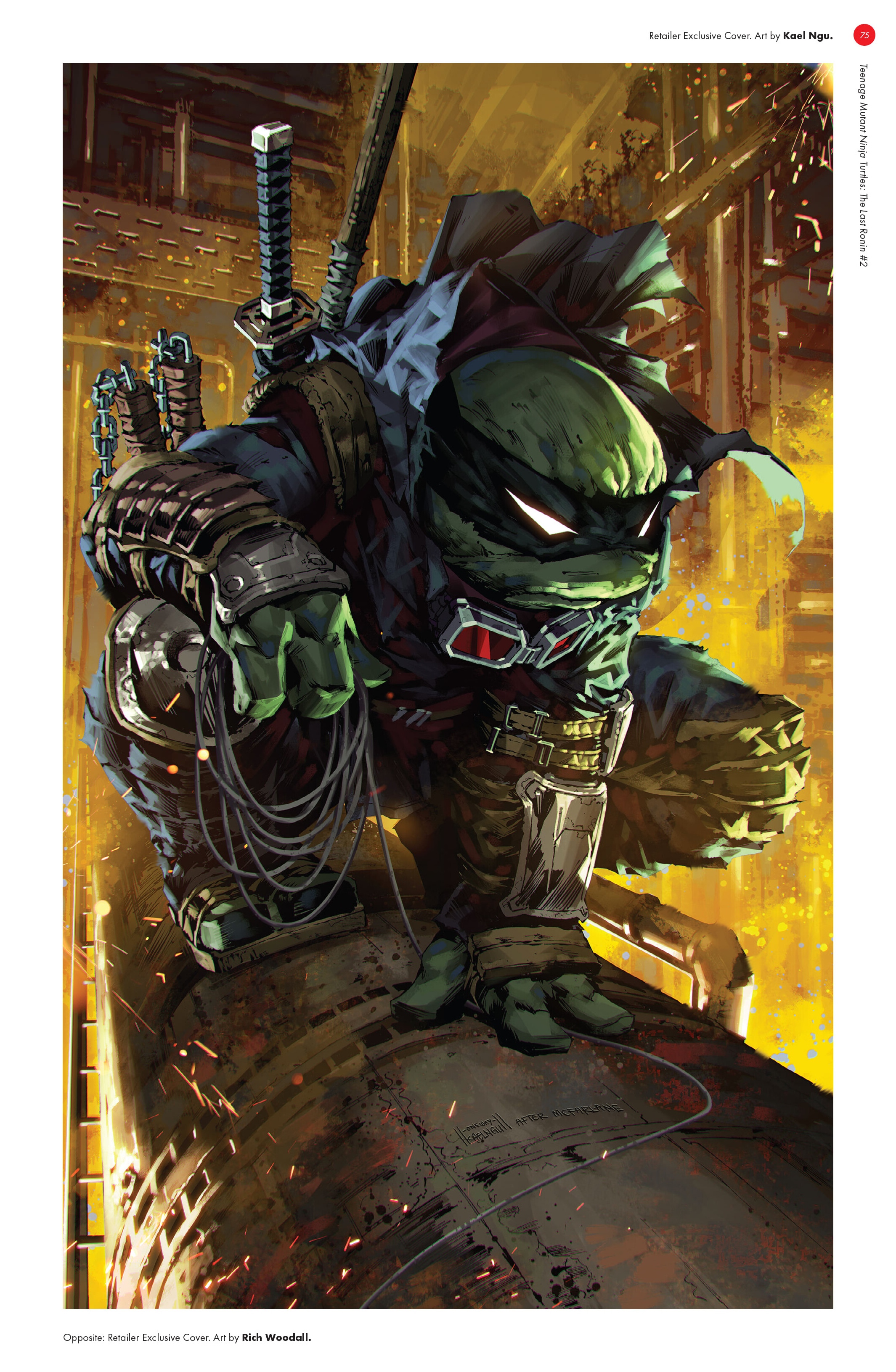 Read online Teenage Mutant Ninja Turtles: The Last Ronin - The Covers comic -  Issue # TPB (Part 1) - 73