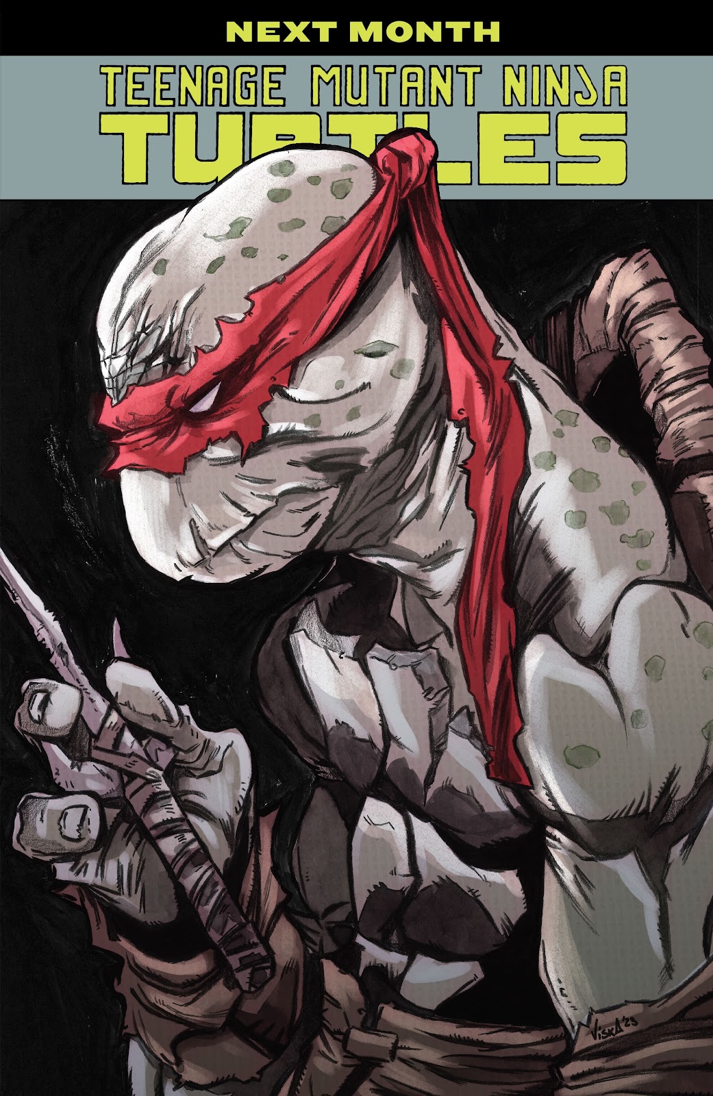 Teenage Mutant Ninja Turtles (2011) issue 146 - Page 23