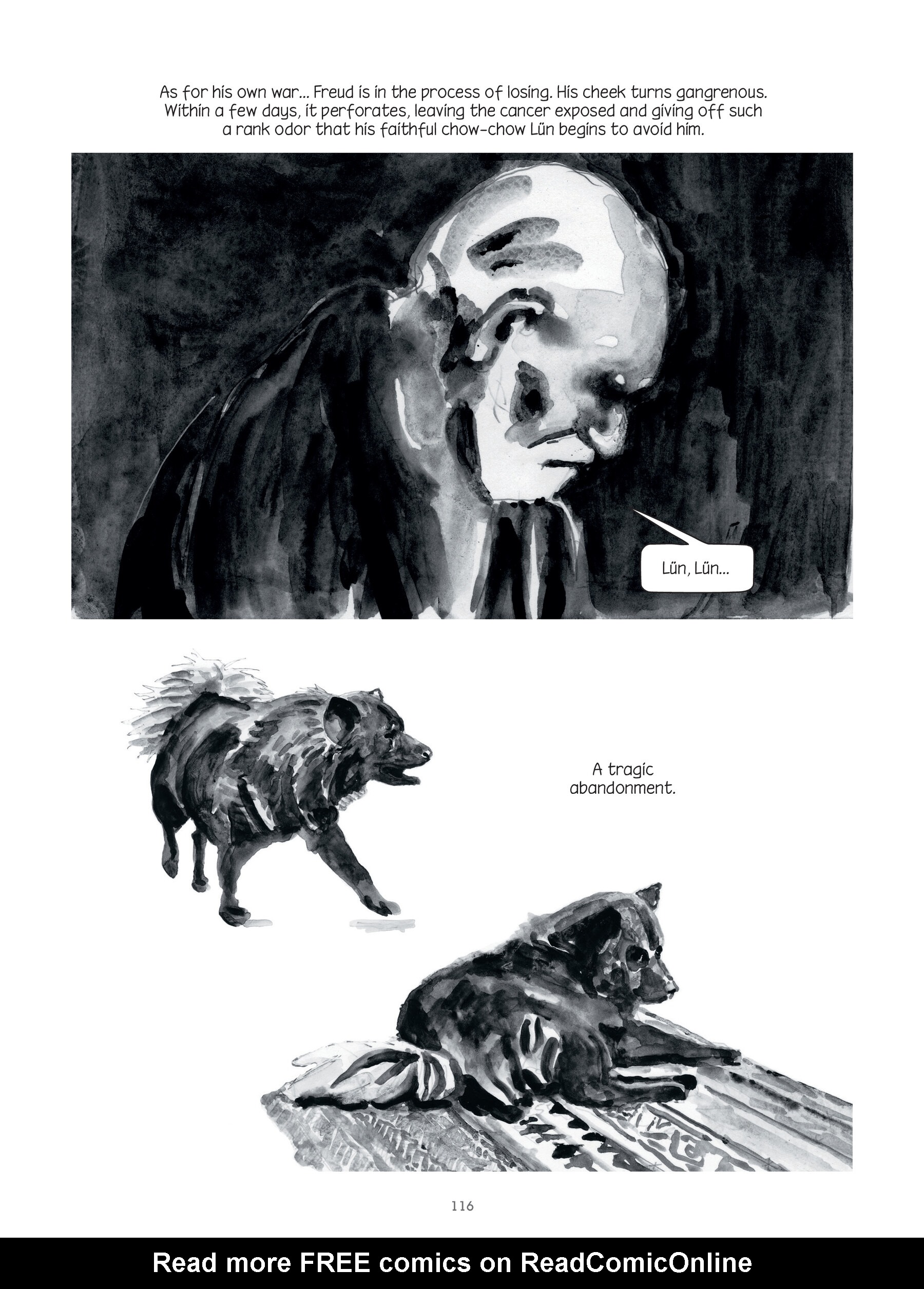 Read online Through Clouds of Smoke: Freud's Final Days comic -  Issue # TPB - 114