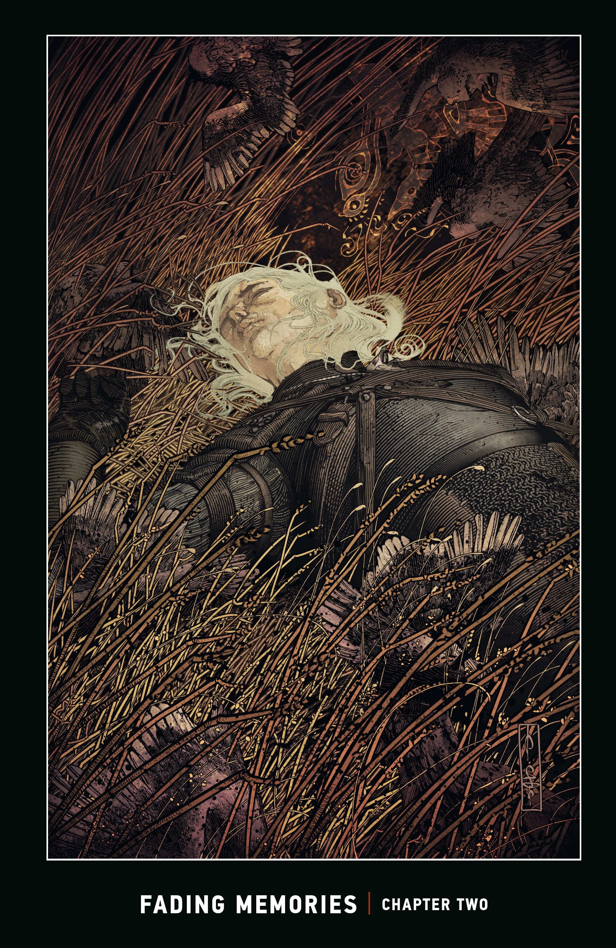 Read online The Witcher Omnibus comic -  Issue # TPB 2 (Part 2) - 34