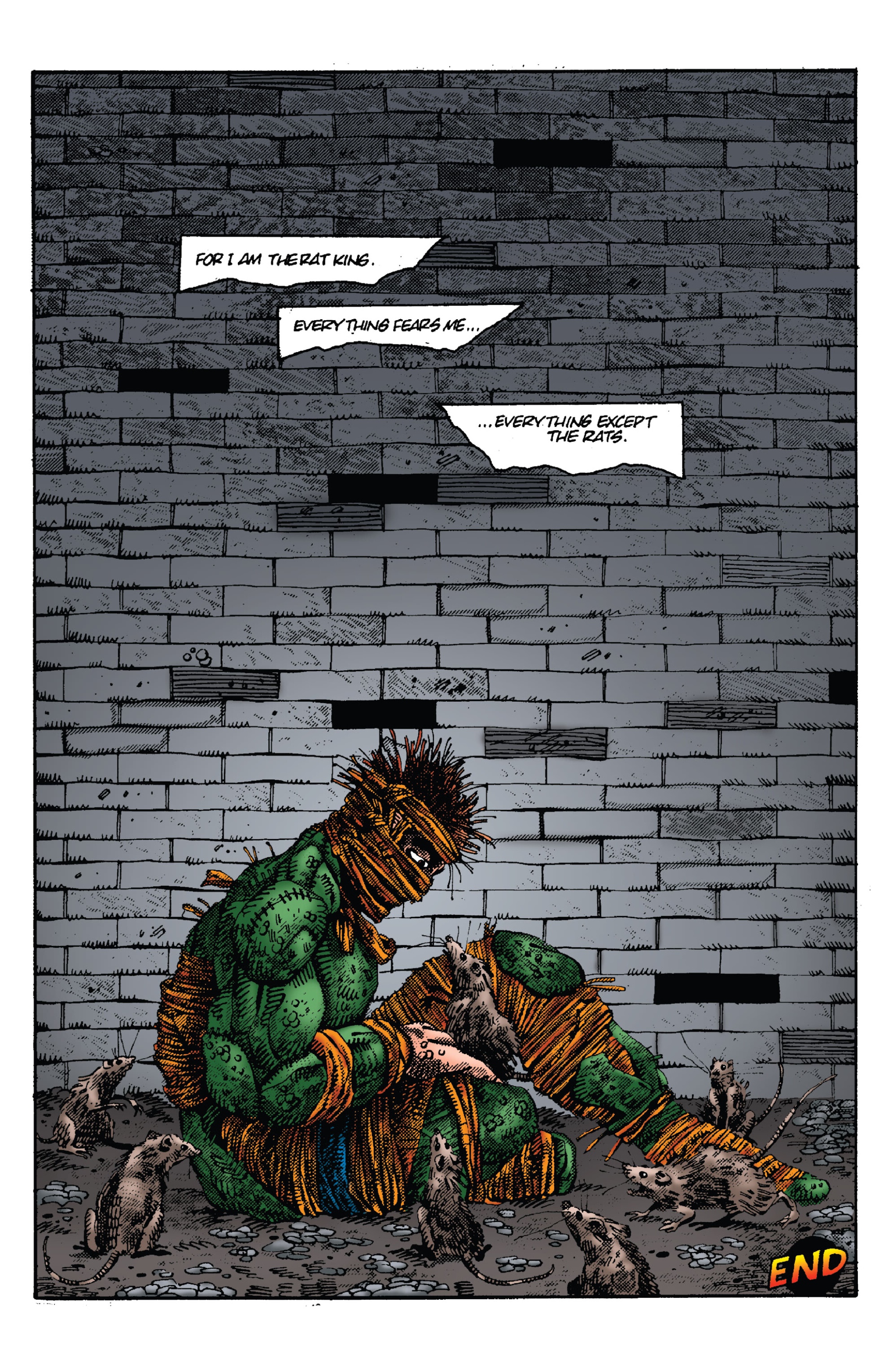 Read online Teenage Mutant Ninja Turtles: Best Of comic -  Issue # Best of Rat King - 34