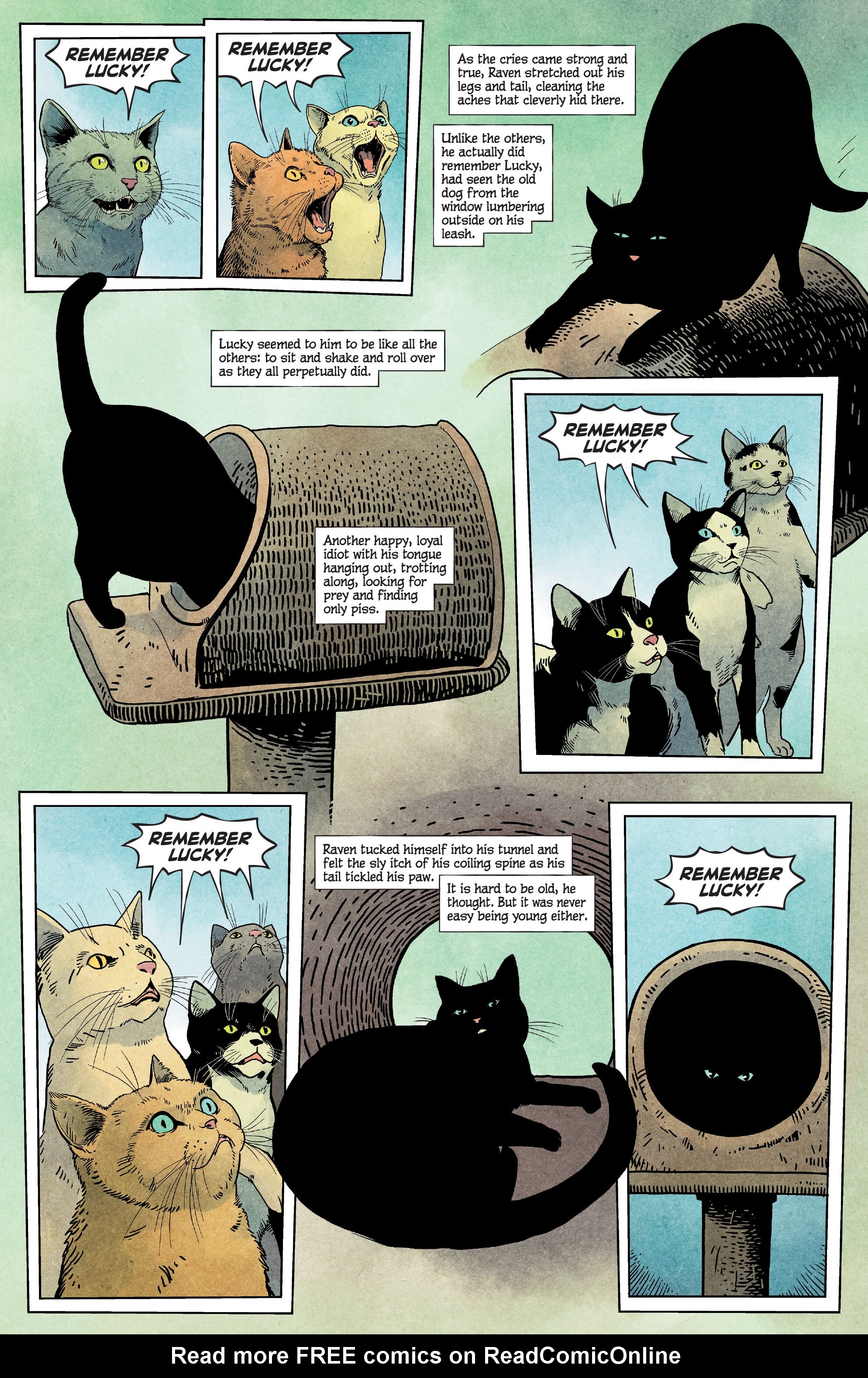 Read online Animal Pound comic -  Issue #1 - 13