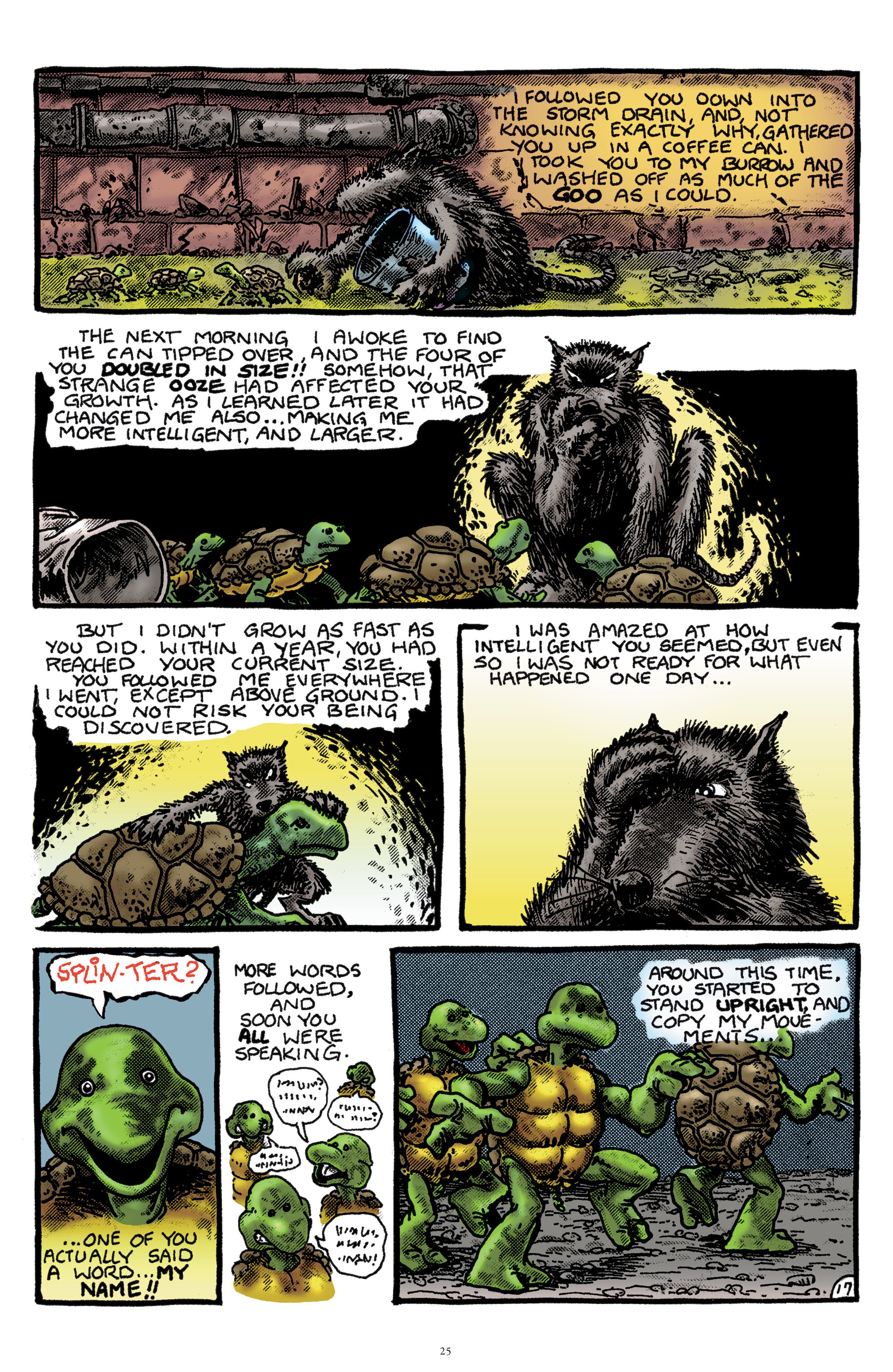 Read online Best of Teenage Mutant Ninja Turtles Collection comic -  Issue # TPB 3 (Part 1) - 23