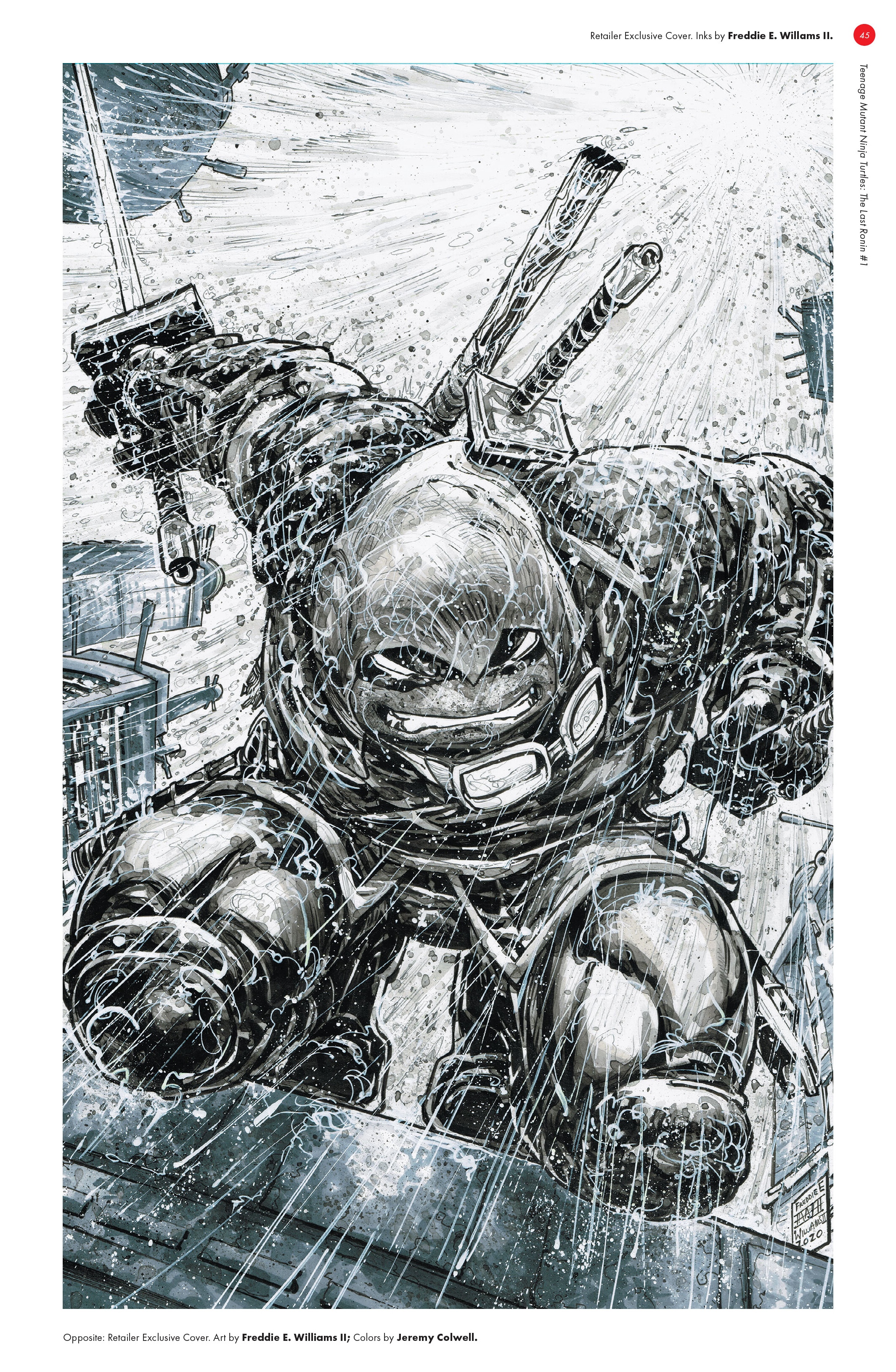 Read online Teenage Mutant Ninja Turtles: The Last Ronin - The Covers comic -  Issue # TPB (Part 1) - 43