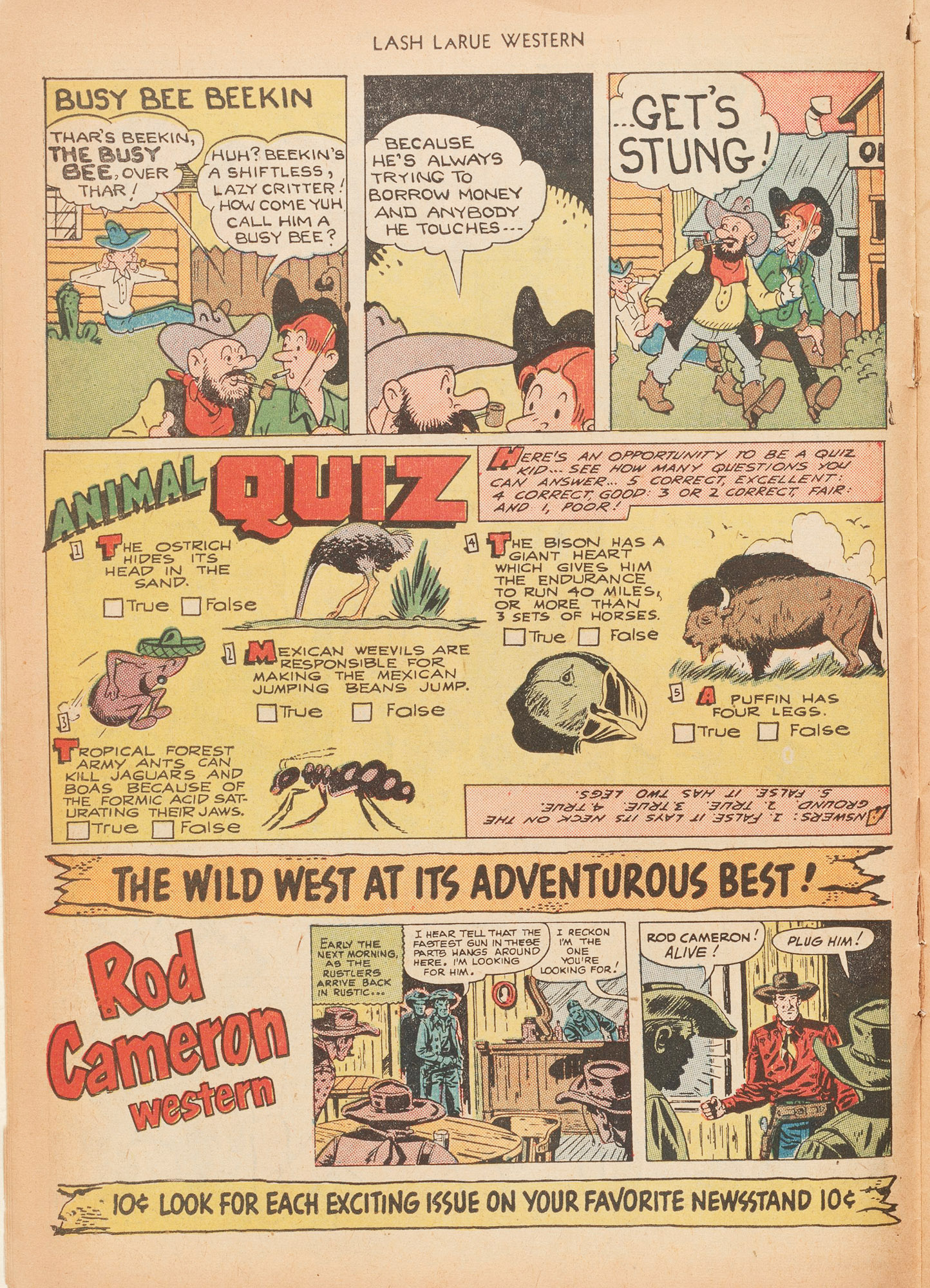 Read online Lash Larue Western (1949) comic -  Issue #15 - 14