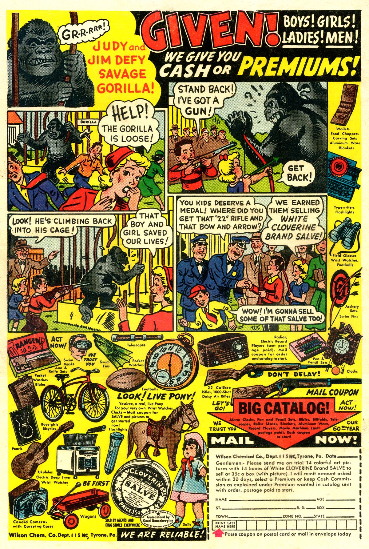 Read online Dodo and The Frog comic -  Issue #84 - 36