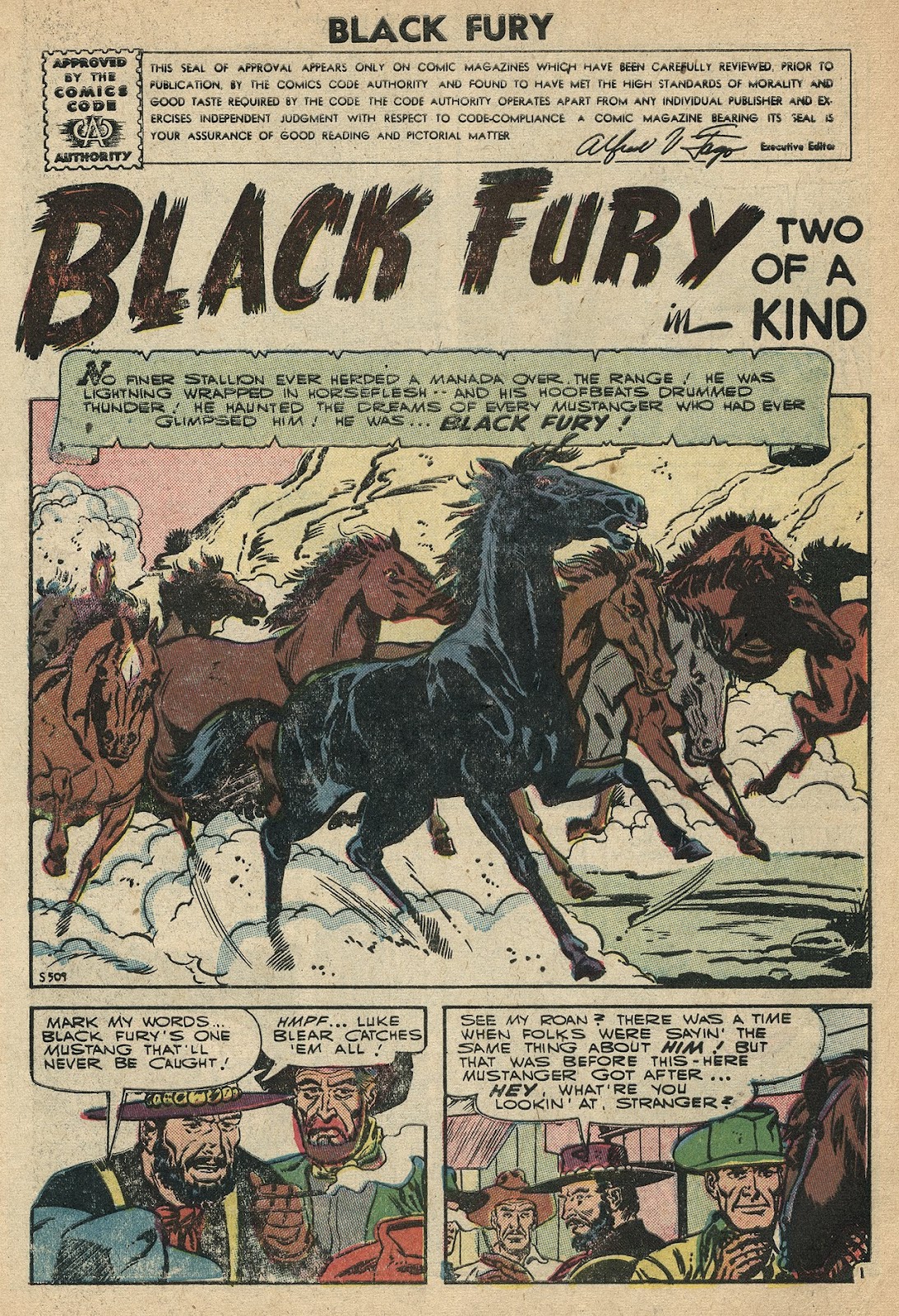 Black Fury issue 7 - Page 3