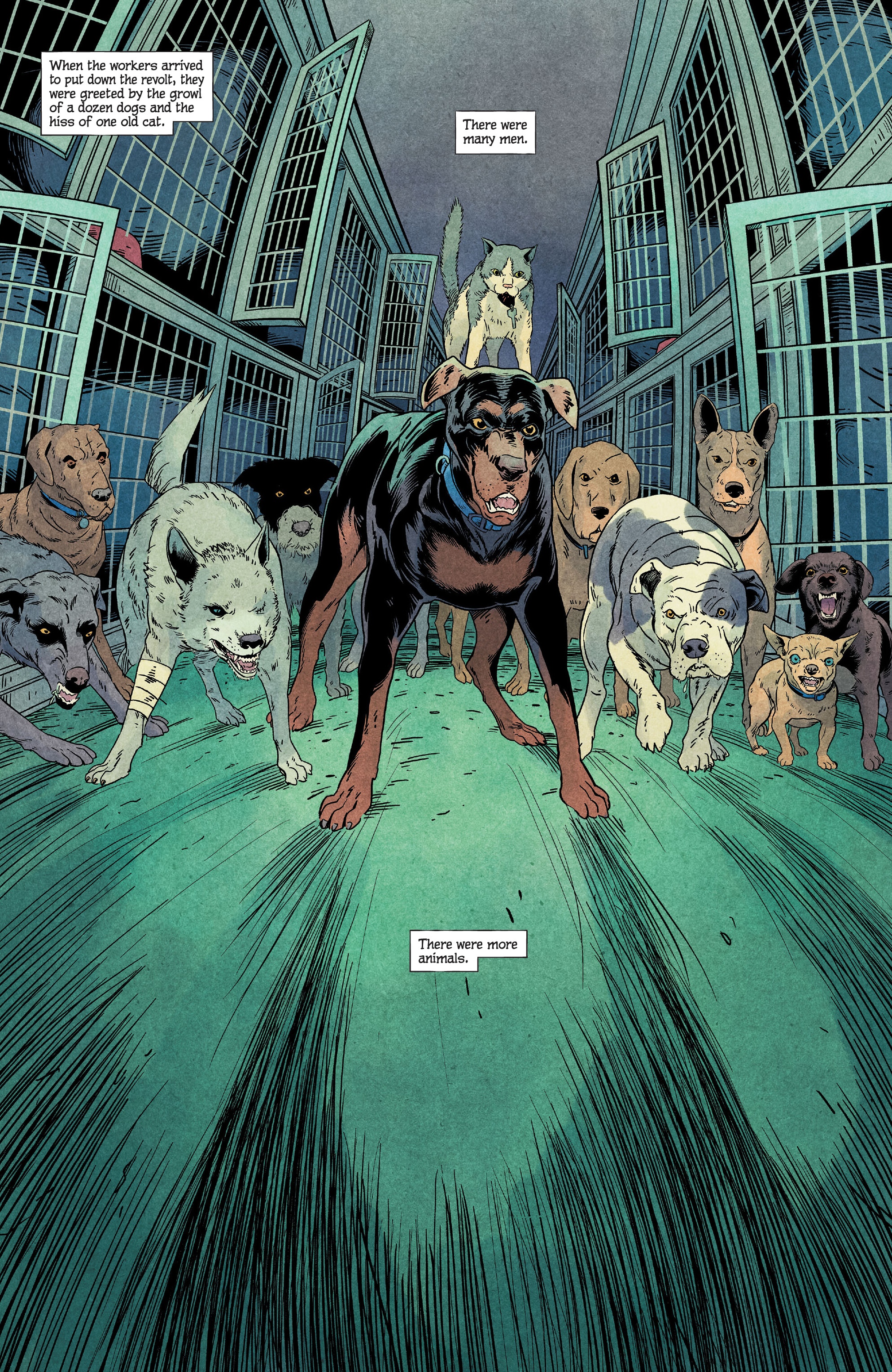 Read online Animal Pound comic -  Issue #1 - 22