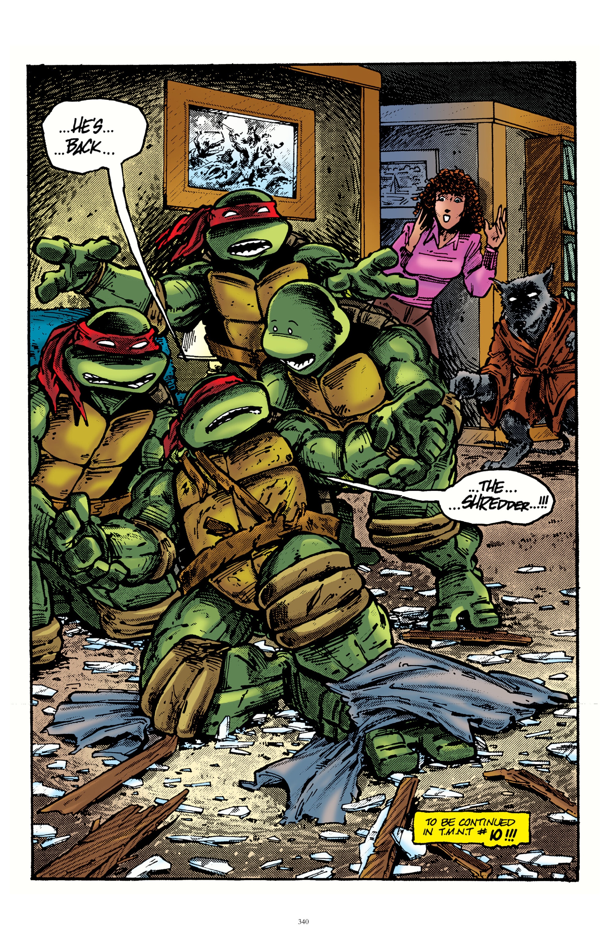 Read online Best of Teenage Mutant Ninja Turtles Collection comic -  Issue # TPB 1 (Part 4) - 20