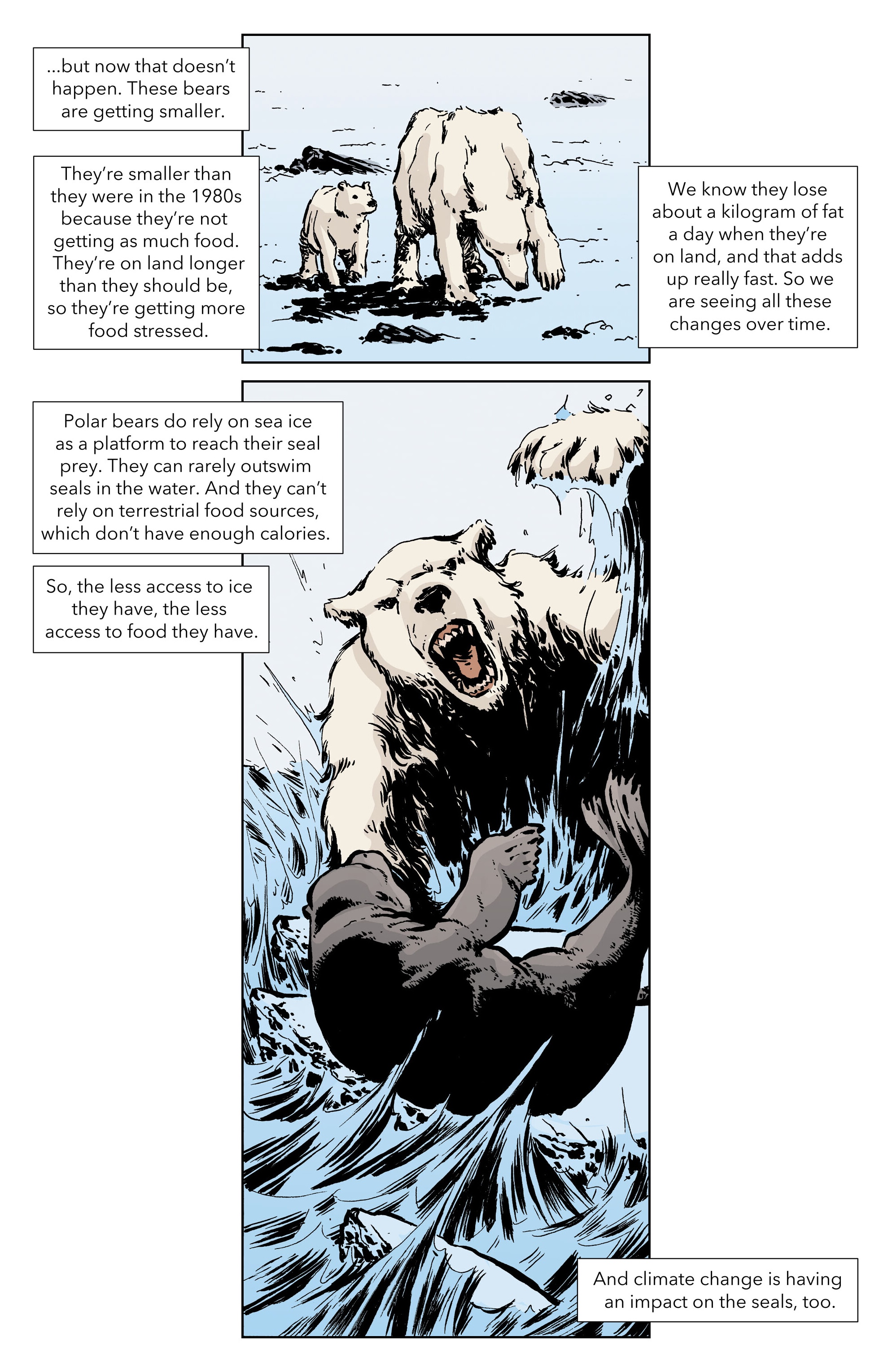 Read online Climate Crisis Chronicles comic -  Issue # TPB - 24