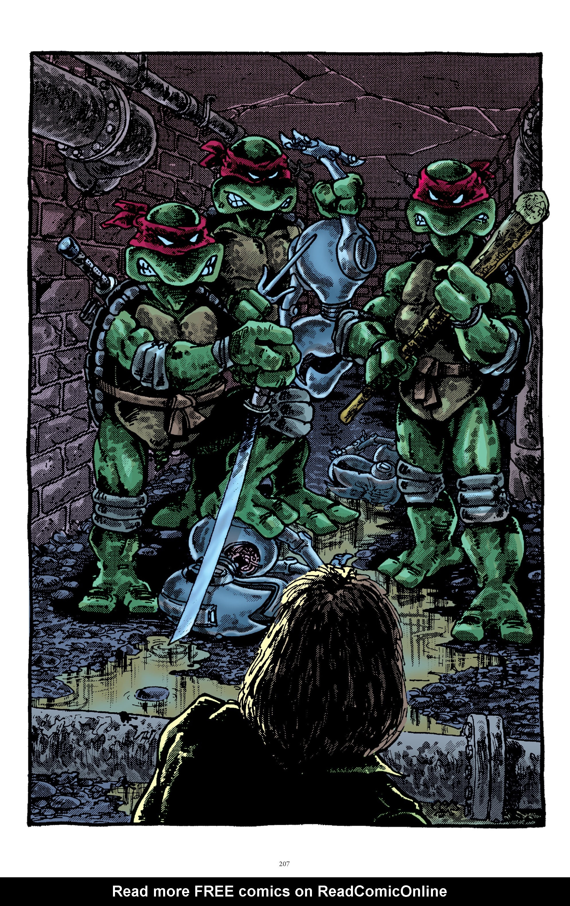 Read online Best of Teenage Mutant Ninja Turtles Collection comic -  Issue # TPB 3 (Part 2) - 95