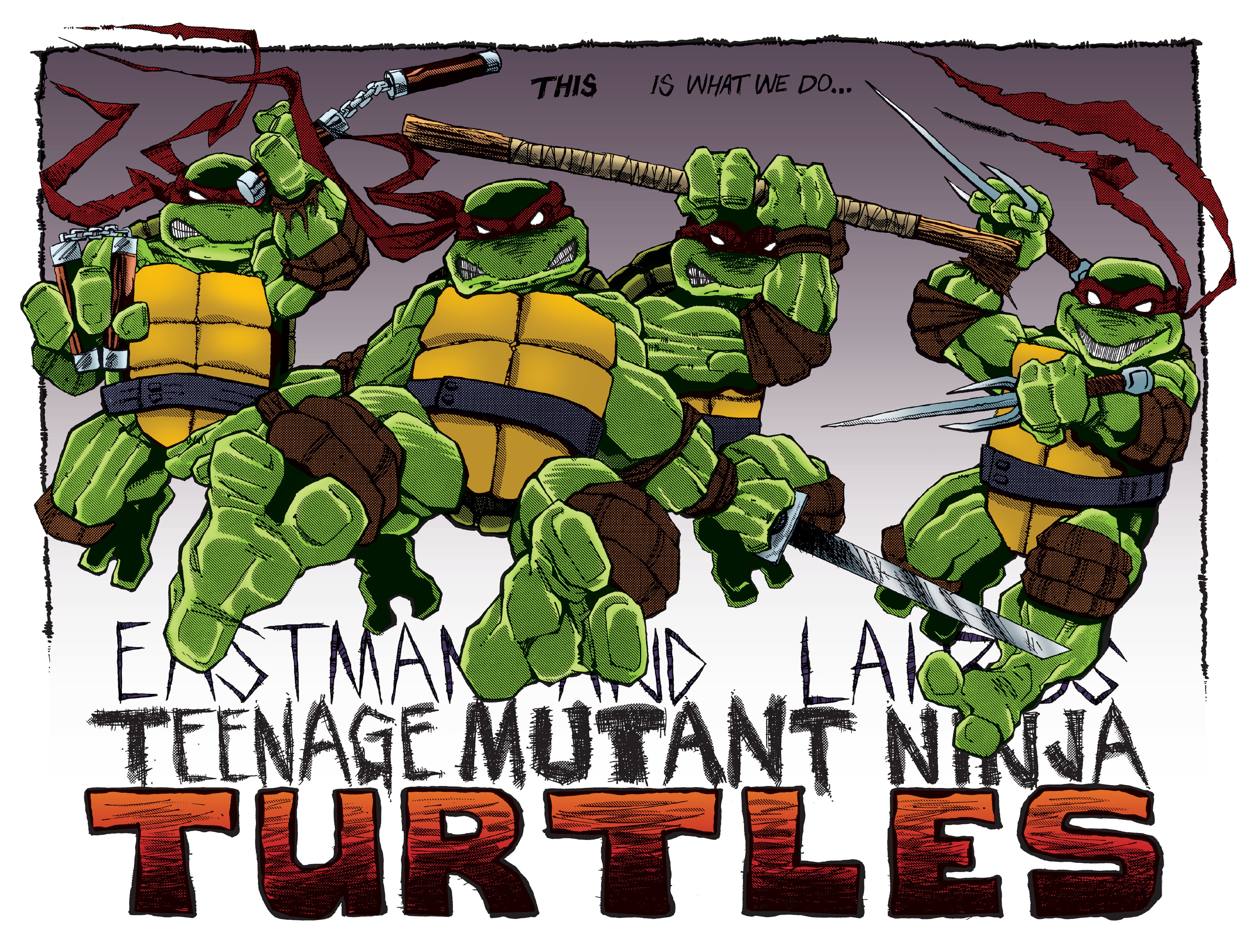 Read online Best of Teenage Mutant Ninja Turtles Collection comic -  Issue # TPB 3 (Part 4) - 1