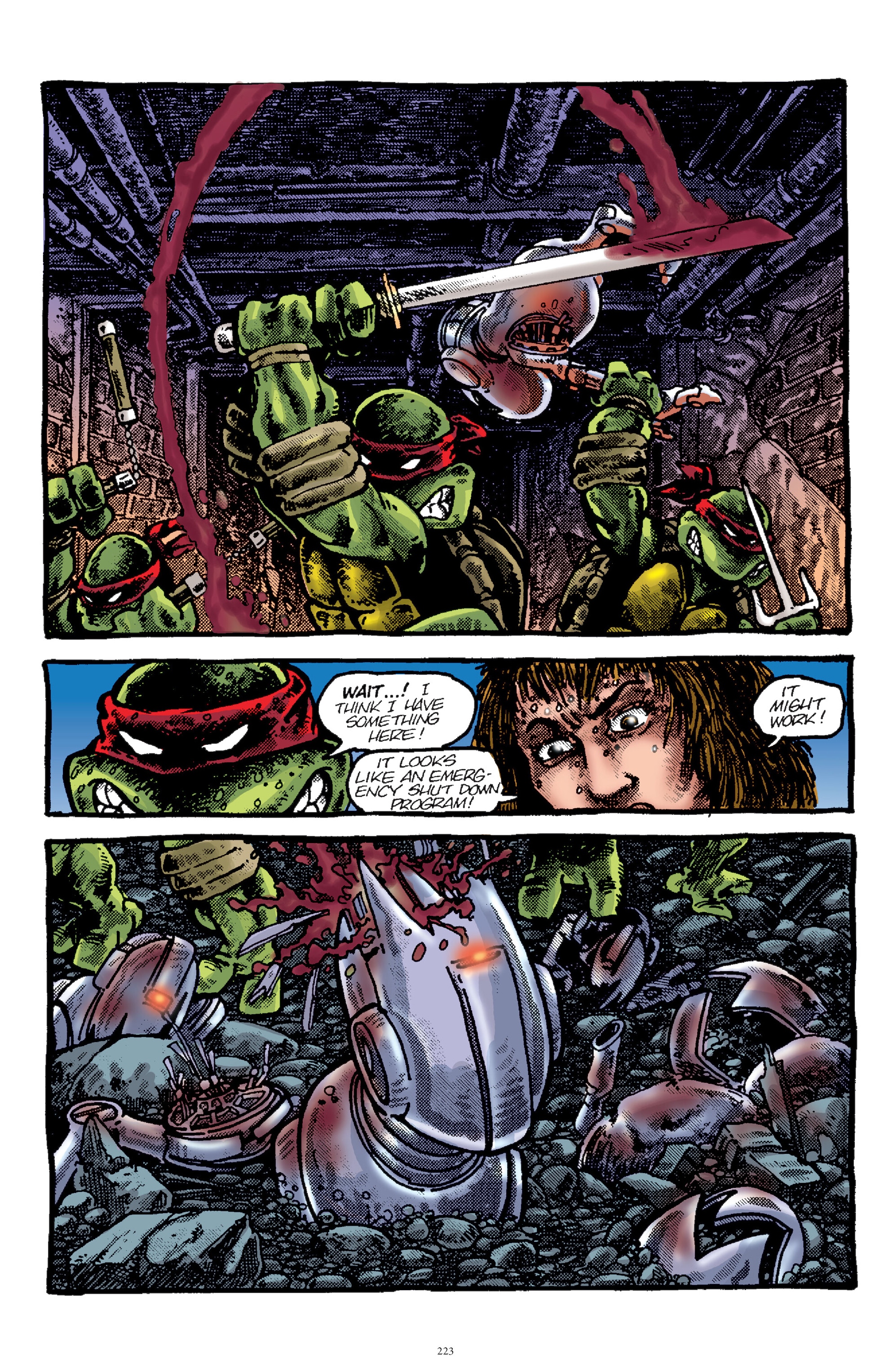 Read online Best of Teenage Mutant Ninja Turtles Collection comic -  Issue # TPB 3 (Part 3) - 12