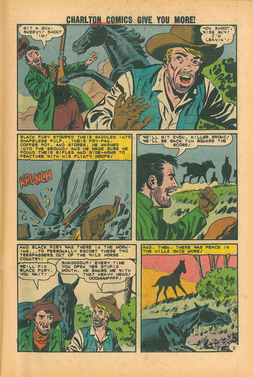 Black Fury issue 51 - Page 27