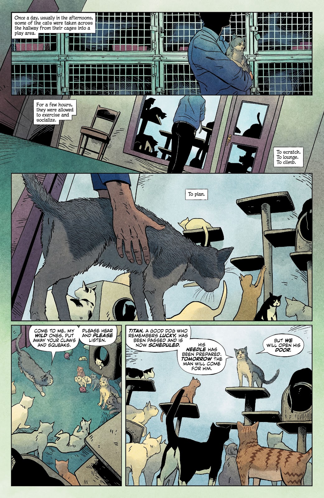 Animal Pound issue 1 - Page 11