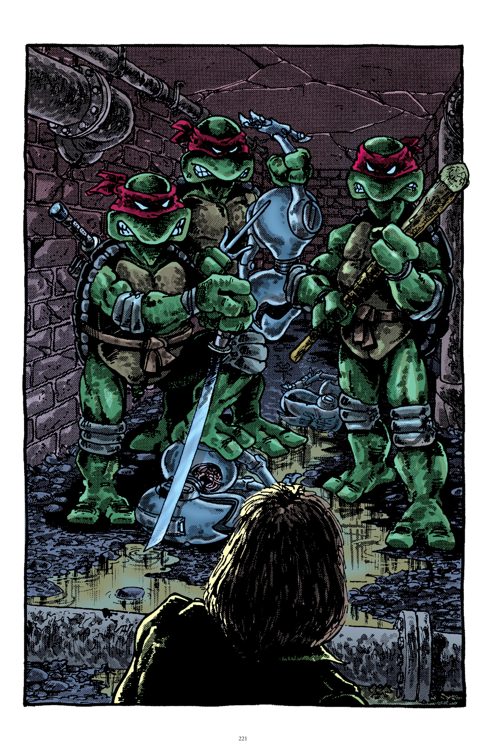 Read online Best of Teenage Mutant Ninja Turtles Collection comic -  Issue # TPB 2 (Part 3) - 18