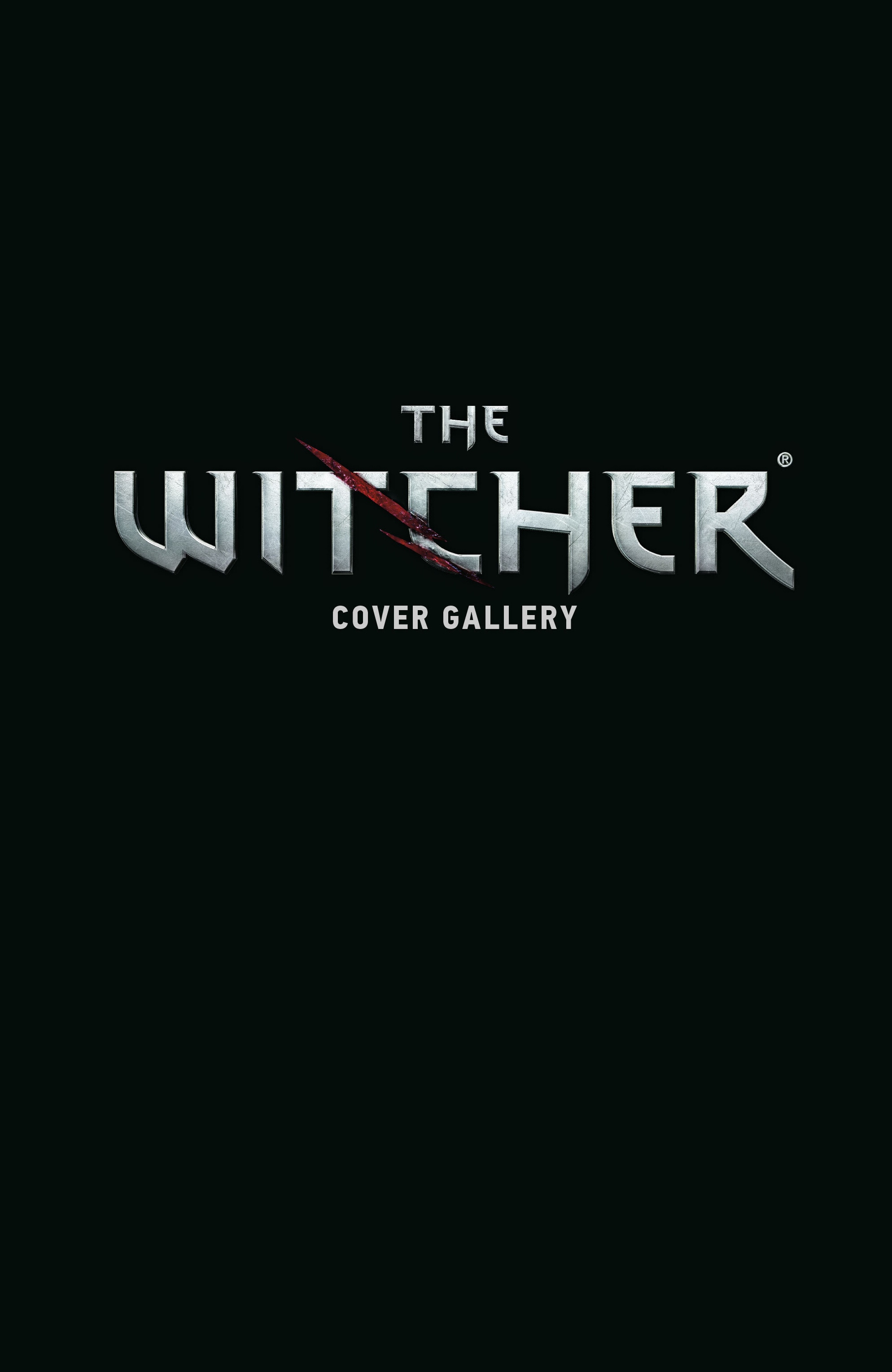 Read online The Witcher Omnibus comic -  Issue # TPB 2 (Part 4) - 11