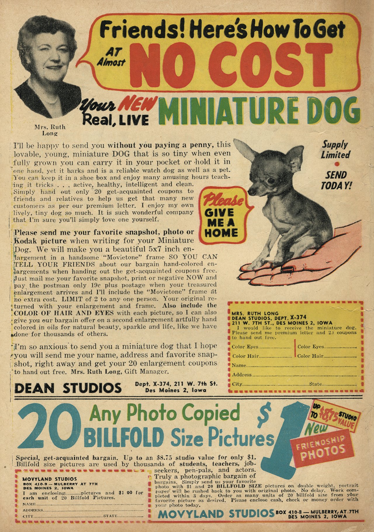 Read online Lash Larue Western (1949) comic -  Issue #49 - 36