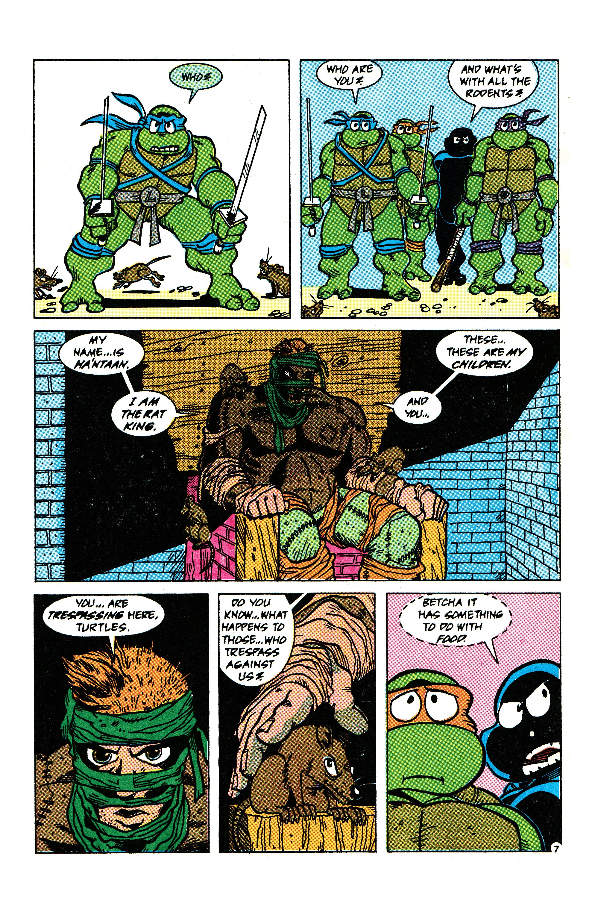 Read online Teenage Mutant Ninja Turtles: Best Of comic -  Issue # Best of Rat King - 43