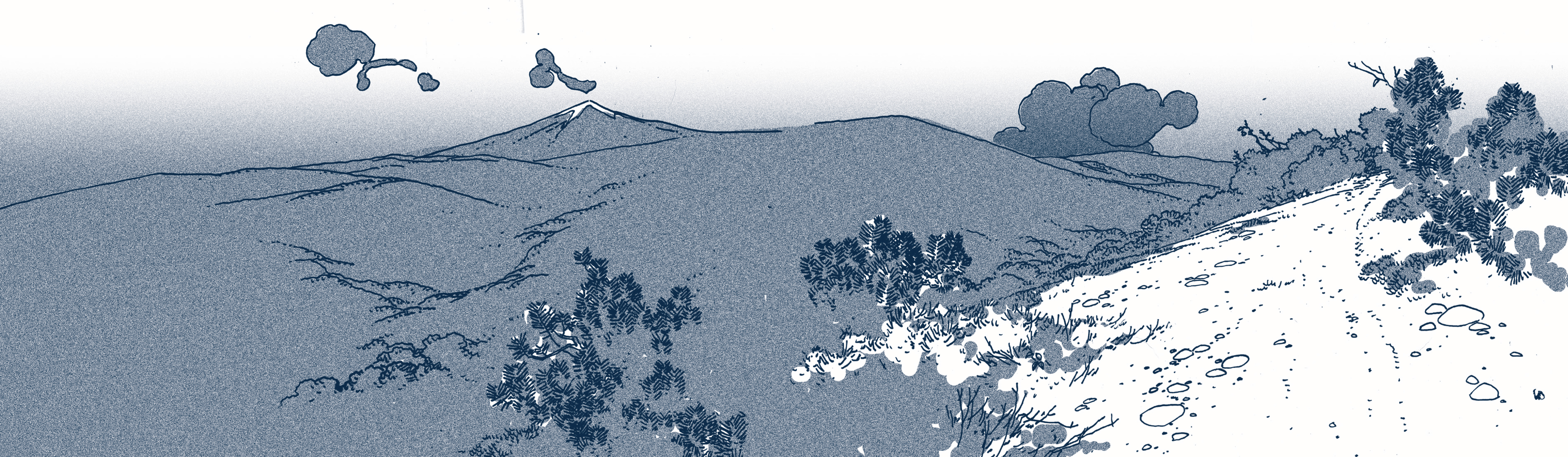 Read online A Frog in the Fall comic -  Issue # TPB (Part 2) - 99