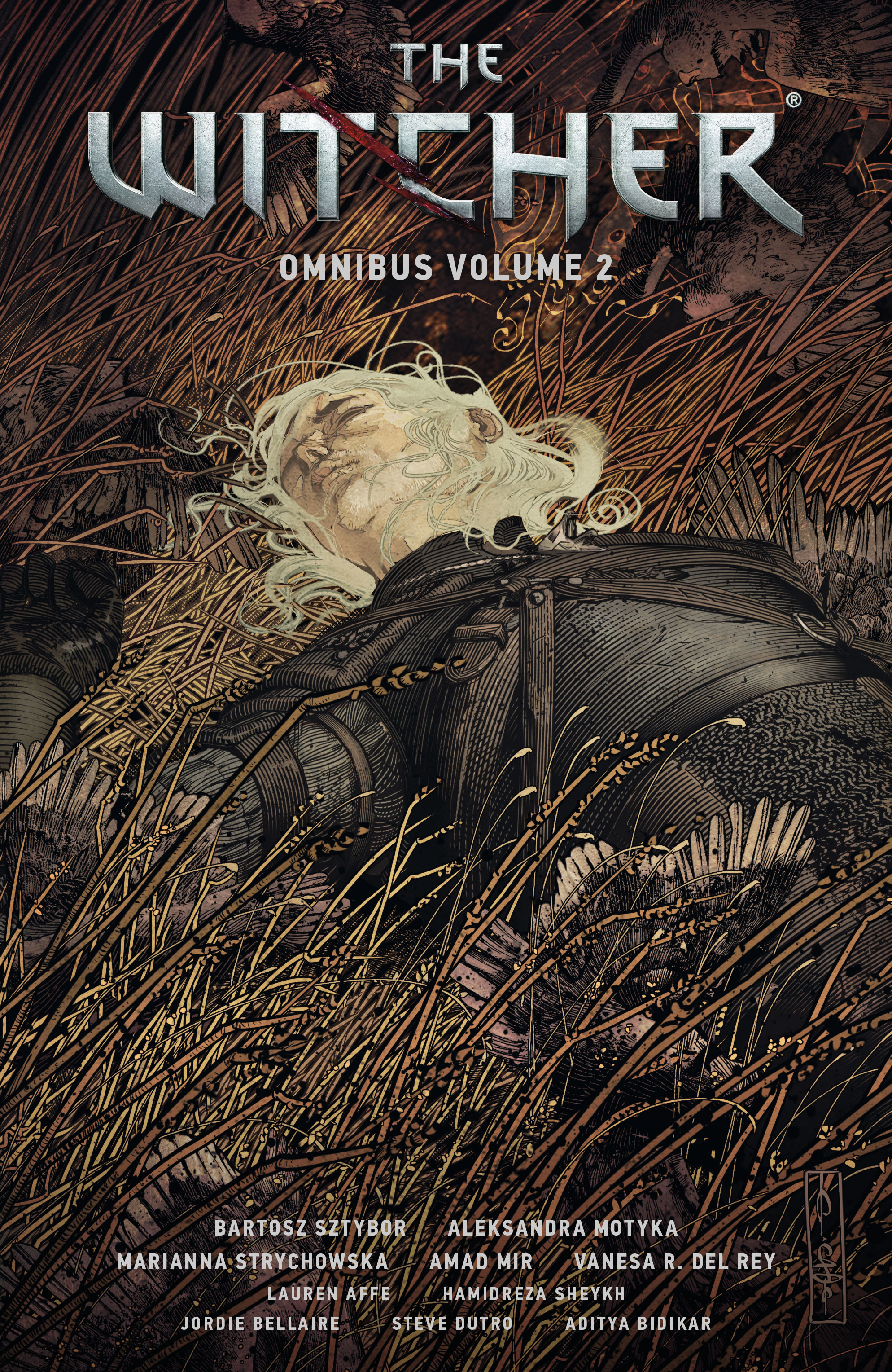 Read online The Witcher Omnibus comic -  Issue # TPB 2 (Part 1) - 1