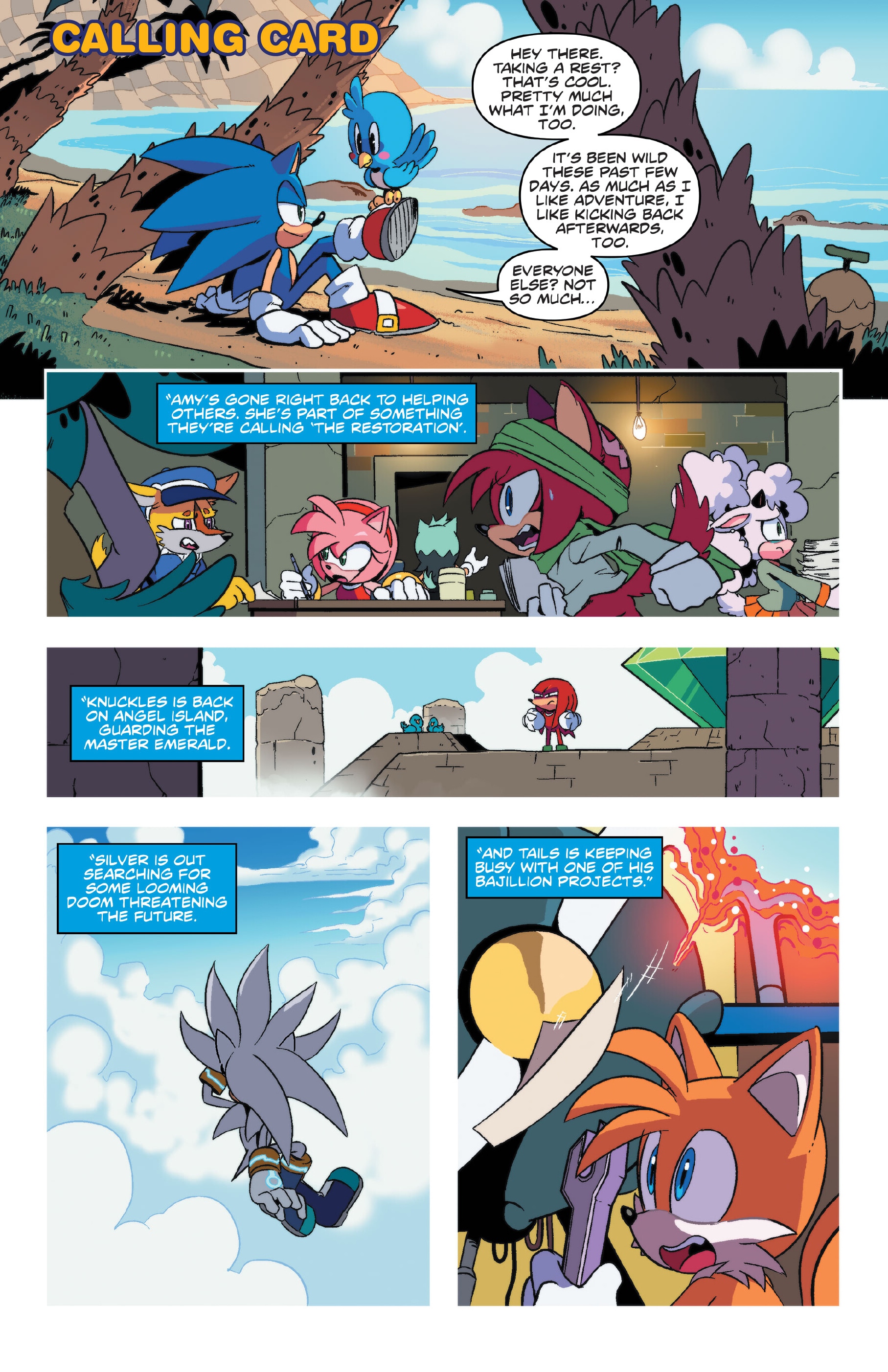 Read online Sonic the Hedgehog: Sonic & Tails: Best Buds Forever comic -  Issue # TPB - 28