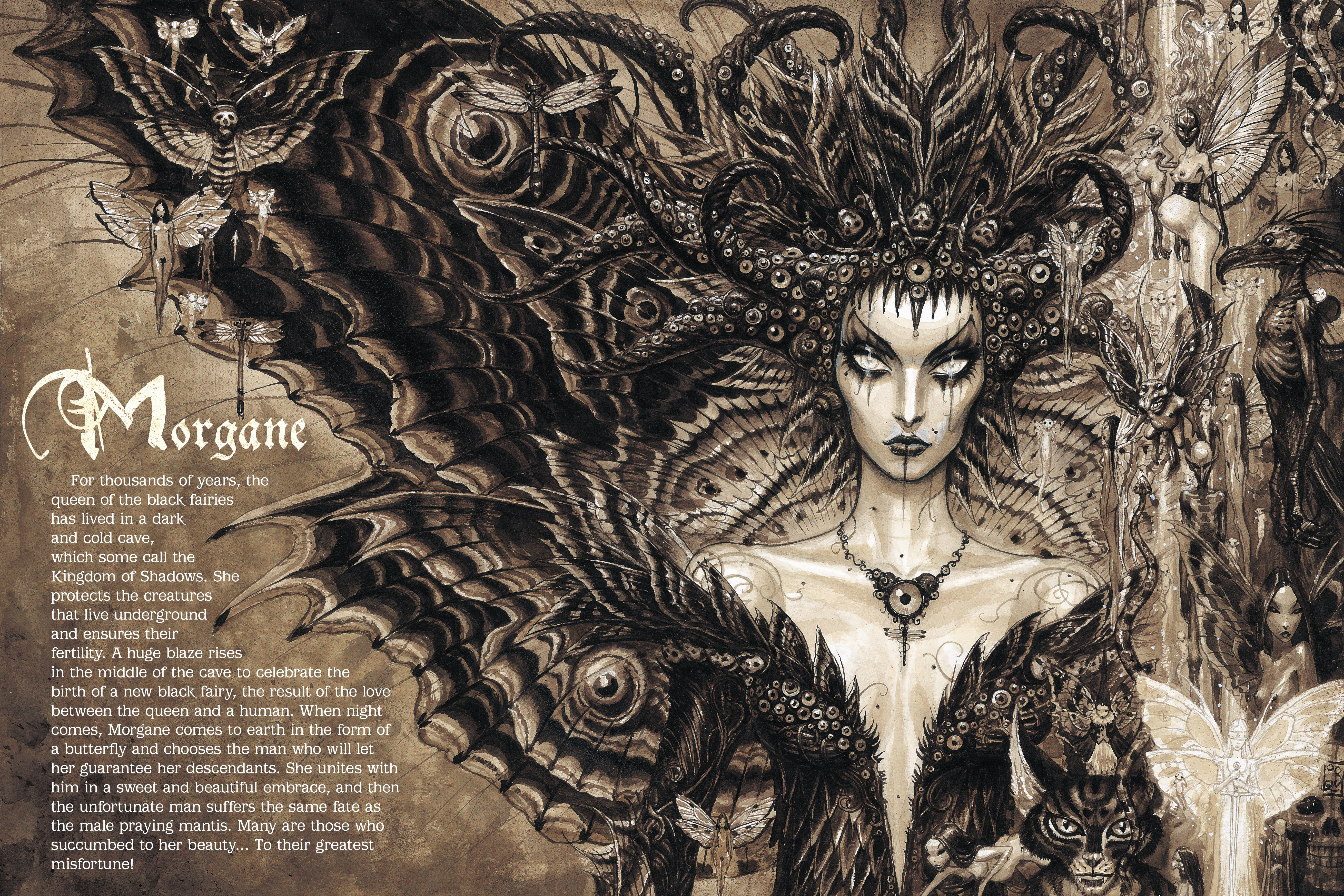 Read online The Fairy Universe comic -  Issue # TPB - 50