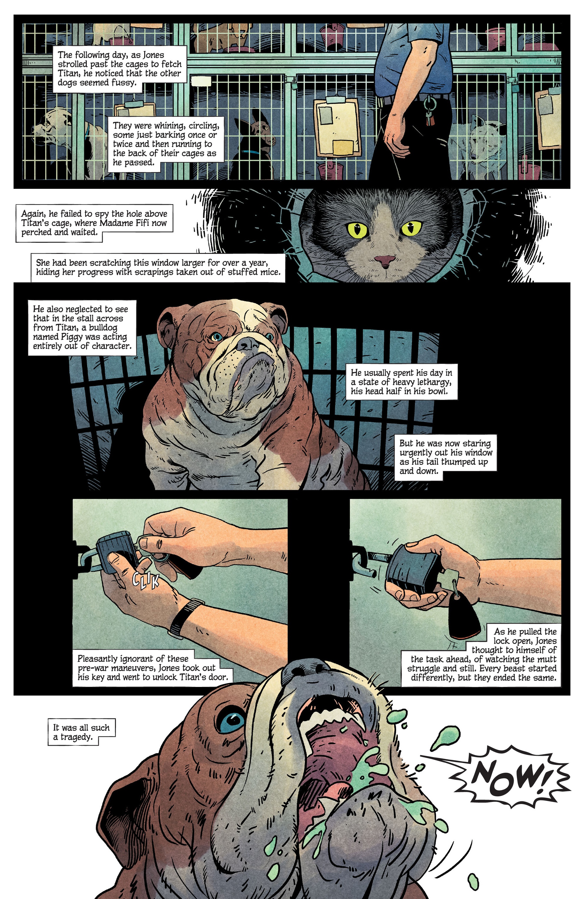 Read online Animal Pound comic -  Issue #1 - 16