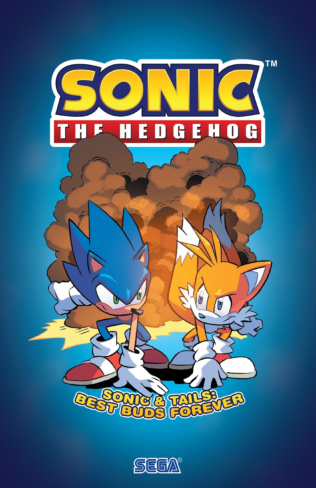 Sonic the Hedgehog: Sonic & Tails: Best Buds Forever issue TPB - Page 2
