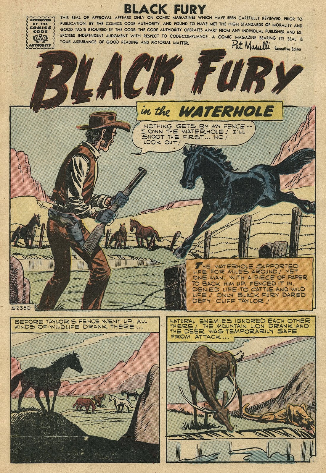 Black Fury issue 12 - Page 3