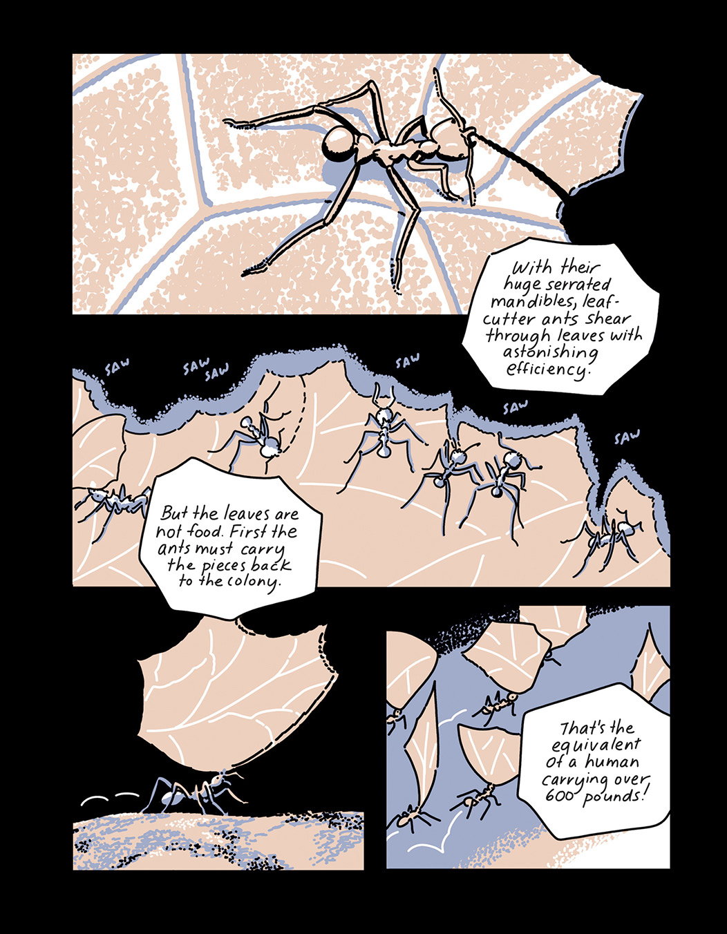 Read online Roaming comic -  Issue # TPB (Part 4) - 19