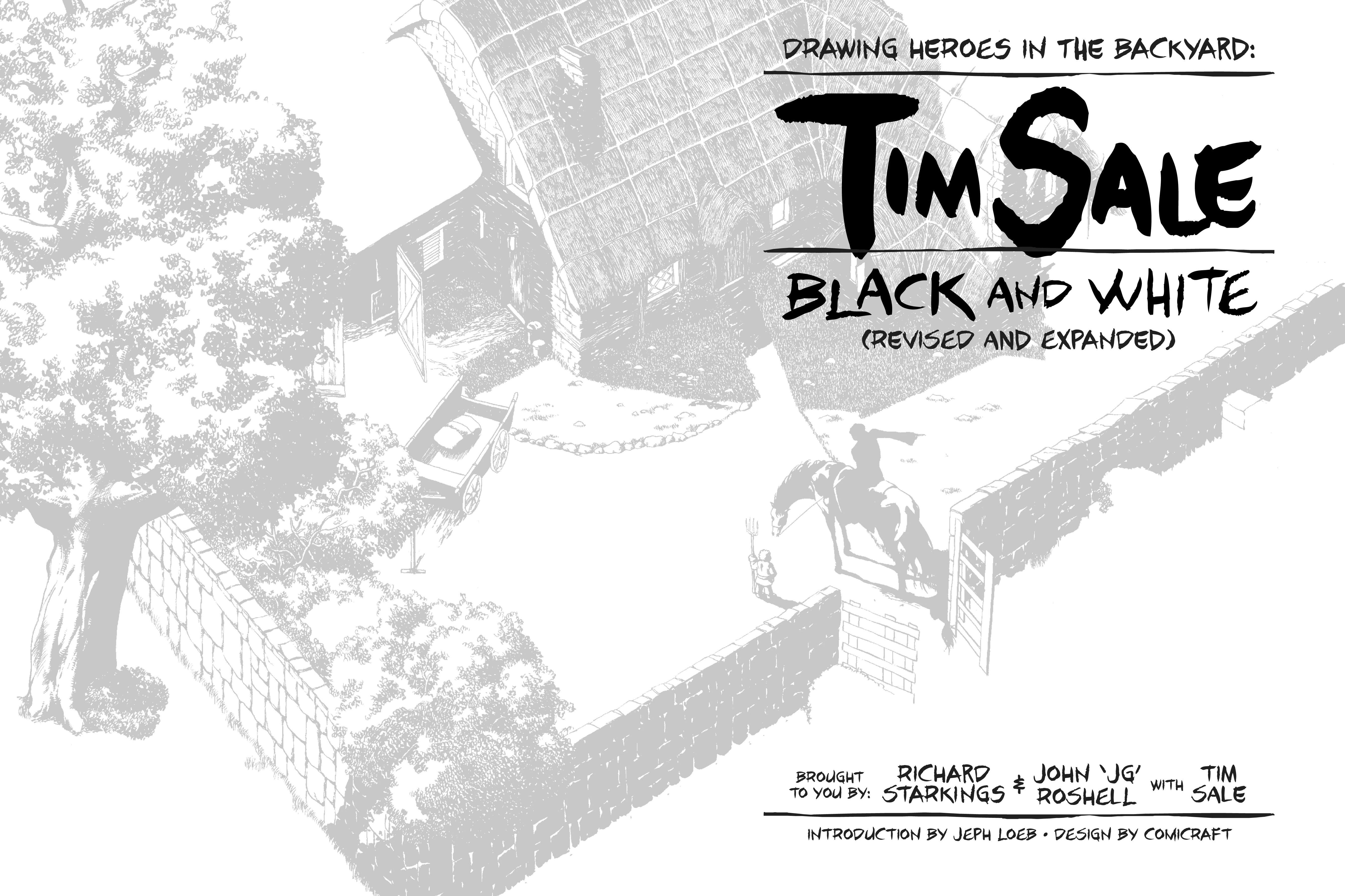 Read online Drawing Heroes in the Backyard: Tim Sale Black and White, Revised and Expanded comic -  Issue # TPB (Part 1) - 4