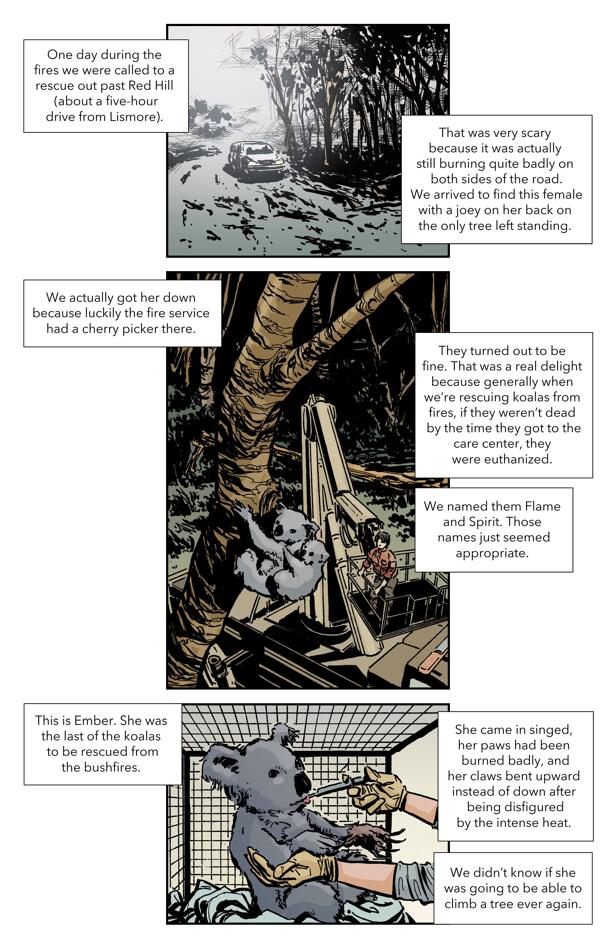 Read online Climate Crisis Chronicles comic -  Issue # TPB - 48