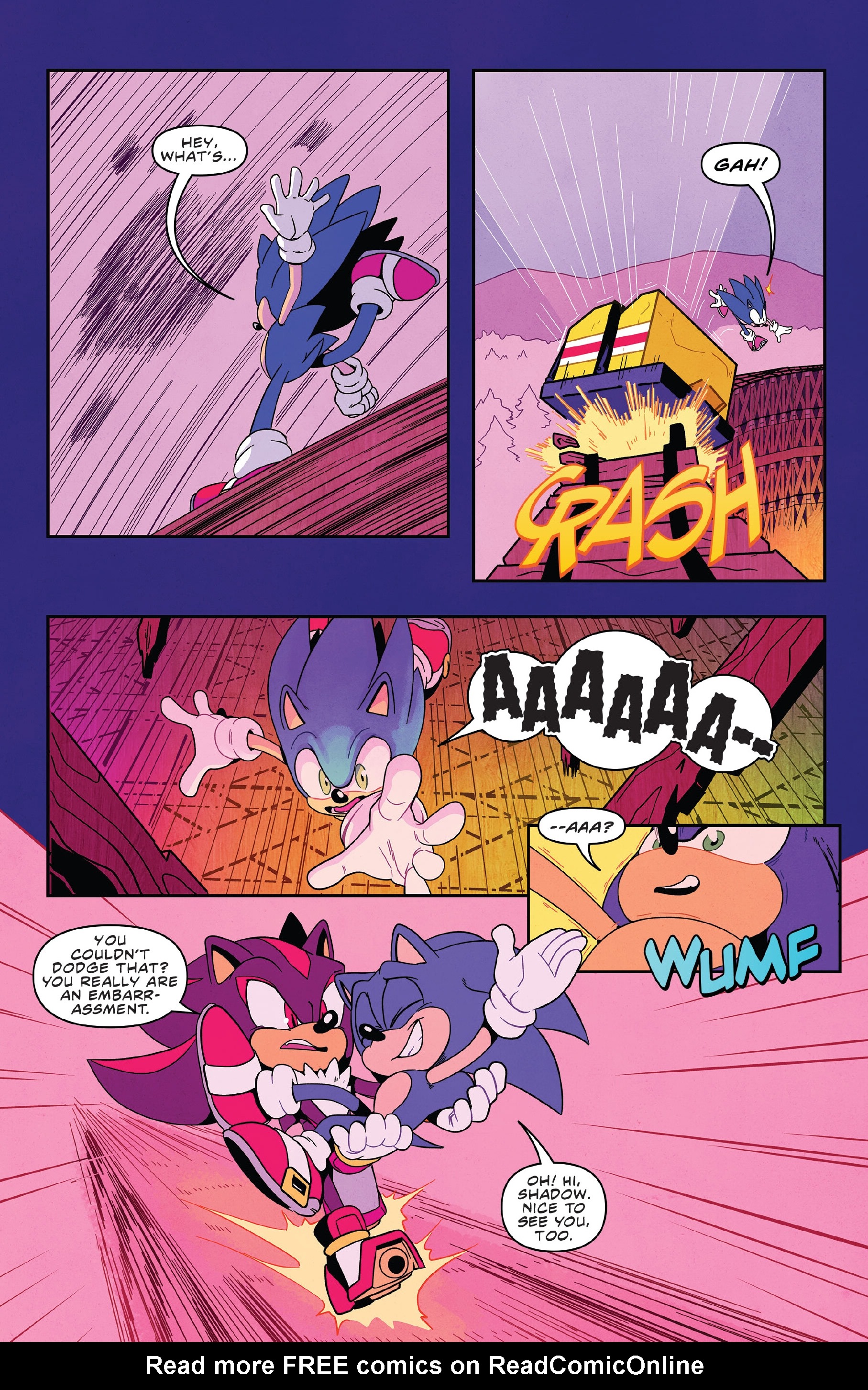 Read online Sonic the Hedgehog: Sonic & Tails: Best Buds Forever comic -  Issue # TPB - 91