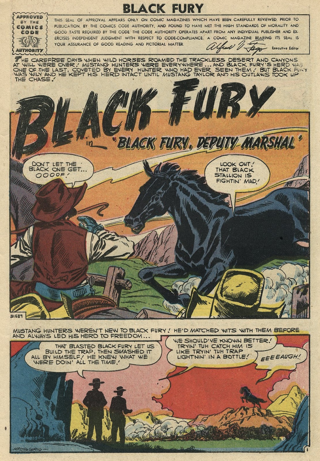 Black Fury issue 9 - Page 3