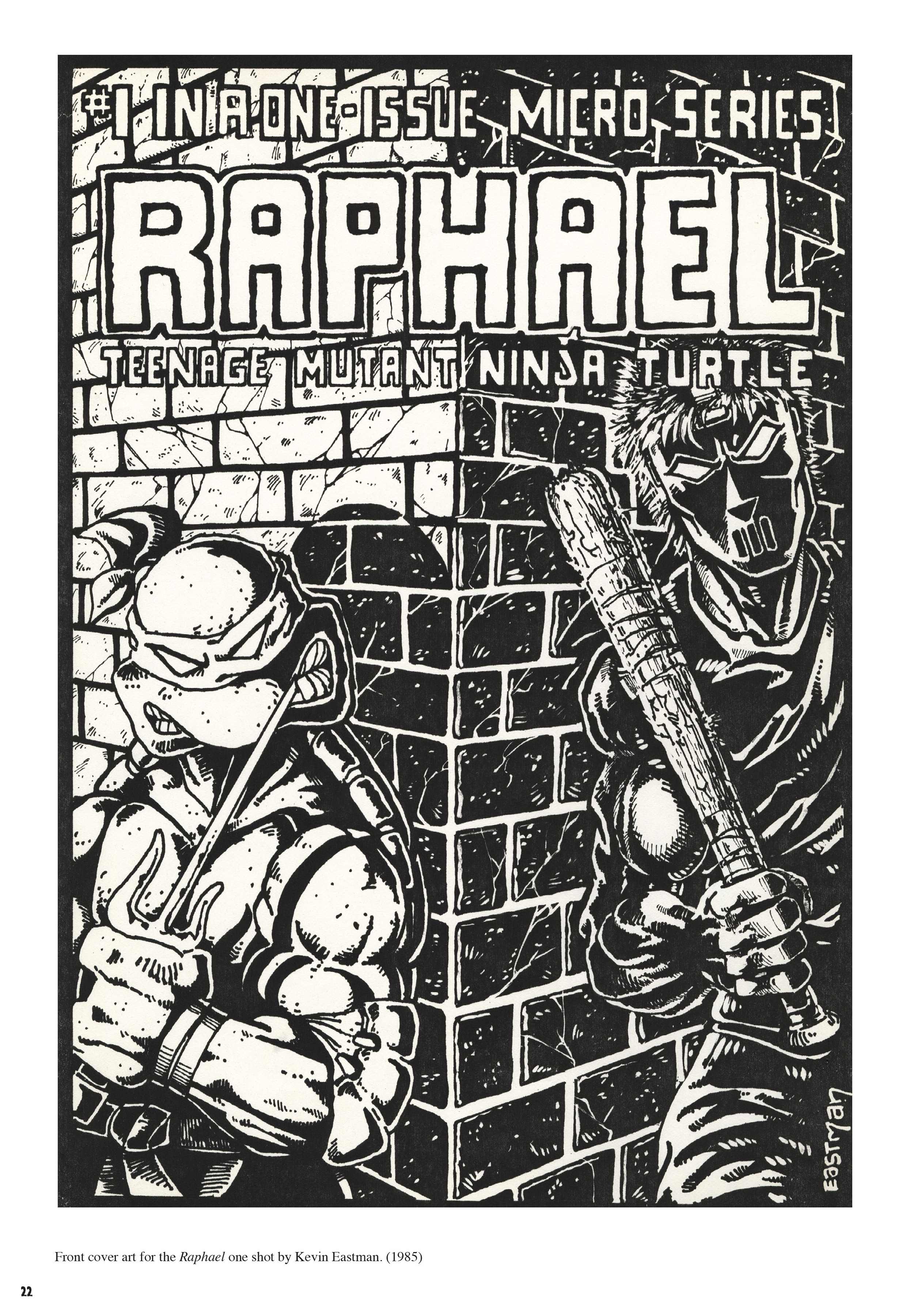 Read online Teenage Mutant Ninja Turtles: The Ultimate Collection comic -  Issue # TPB 7 - 20