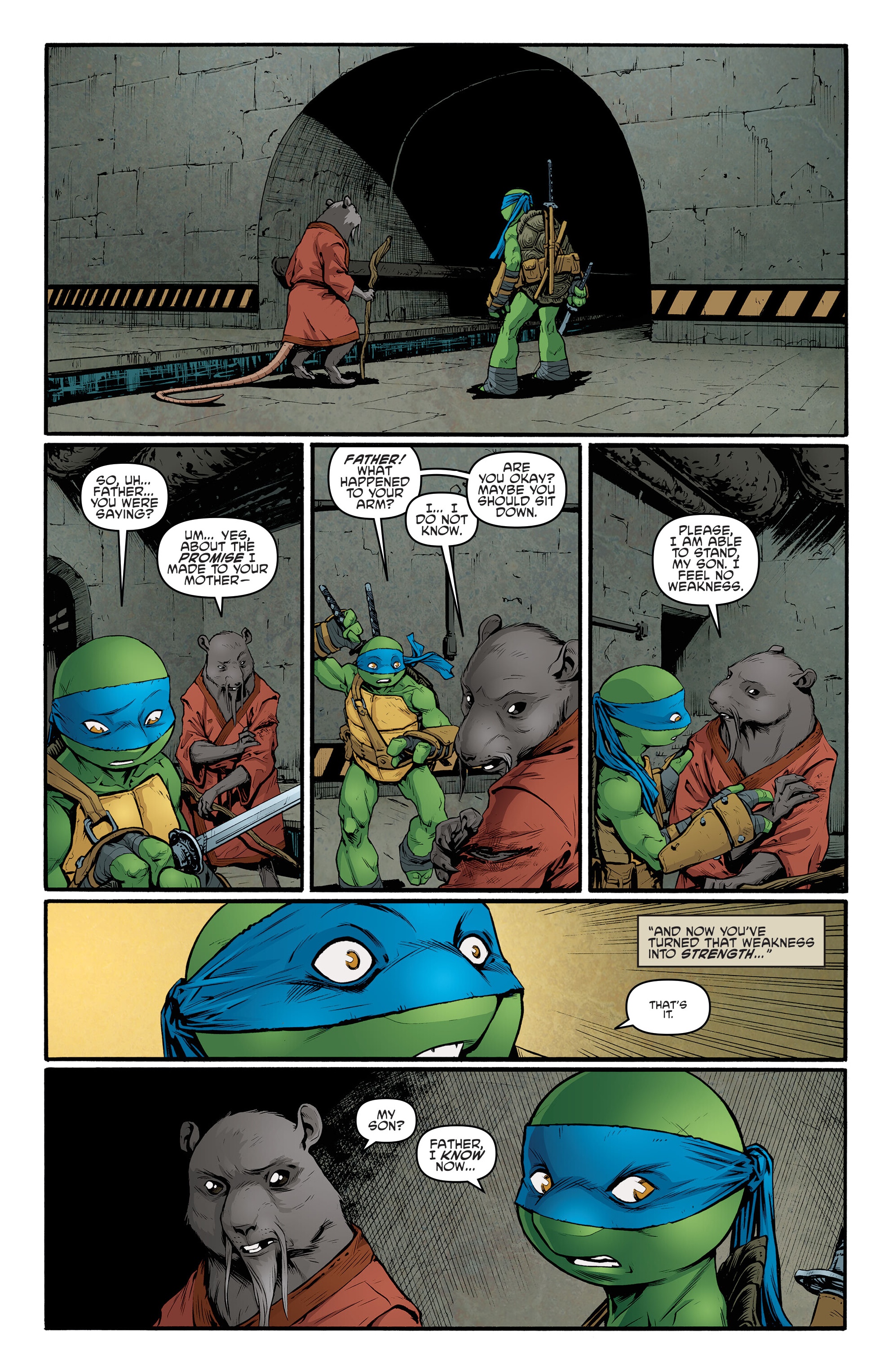 Read online Teenage Mutant Ninja Turtles: Best Of comic -  Issue # Best of Rat King - 84