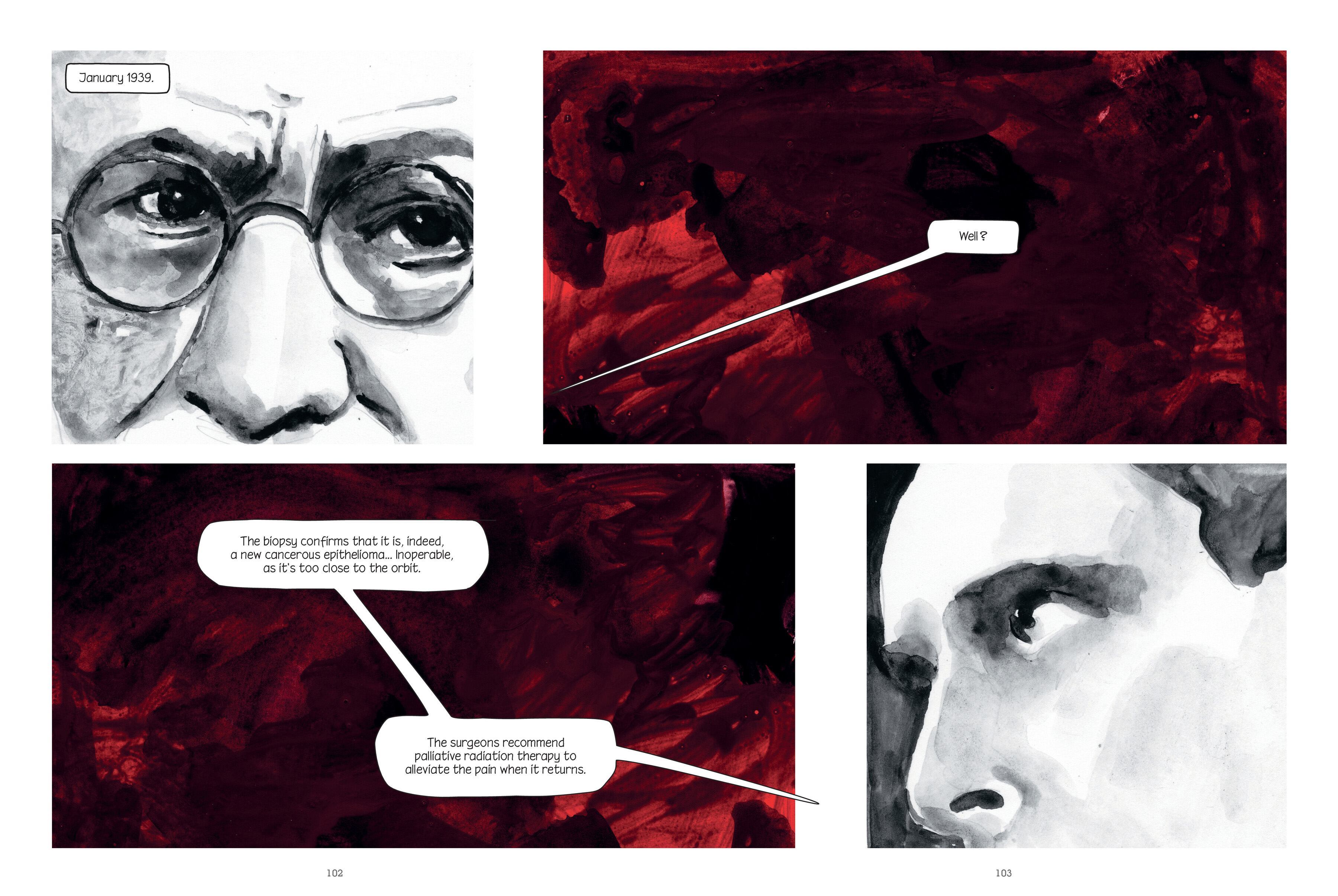 Read online Through Clouds of Smoke: Freud's Final Days comic -  Issue # TPB - 101