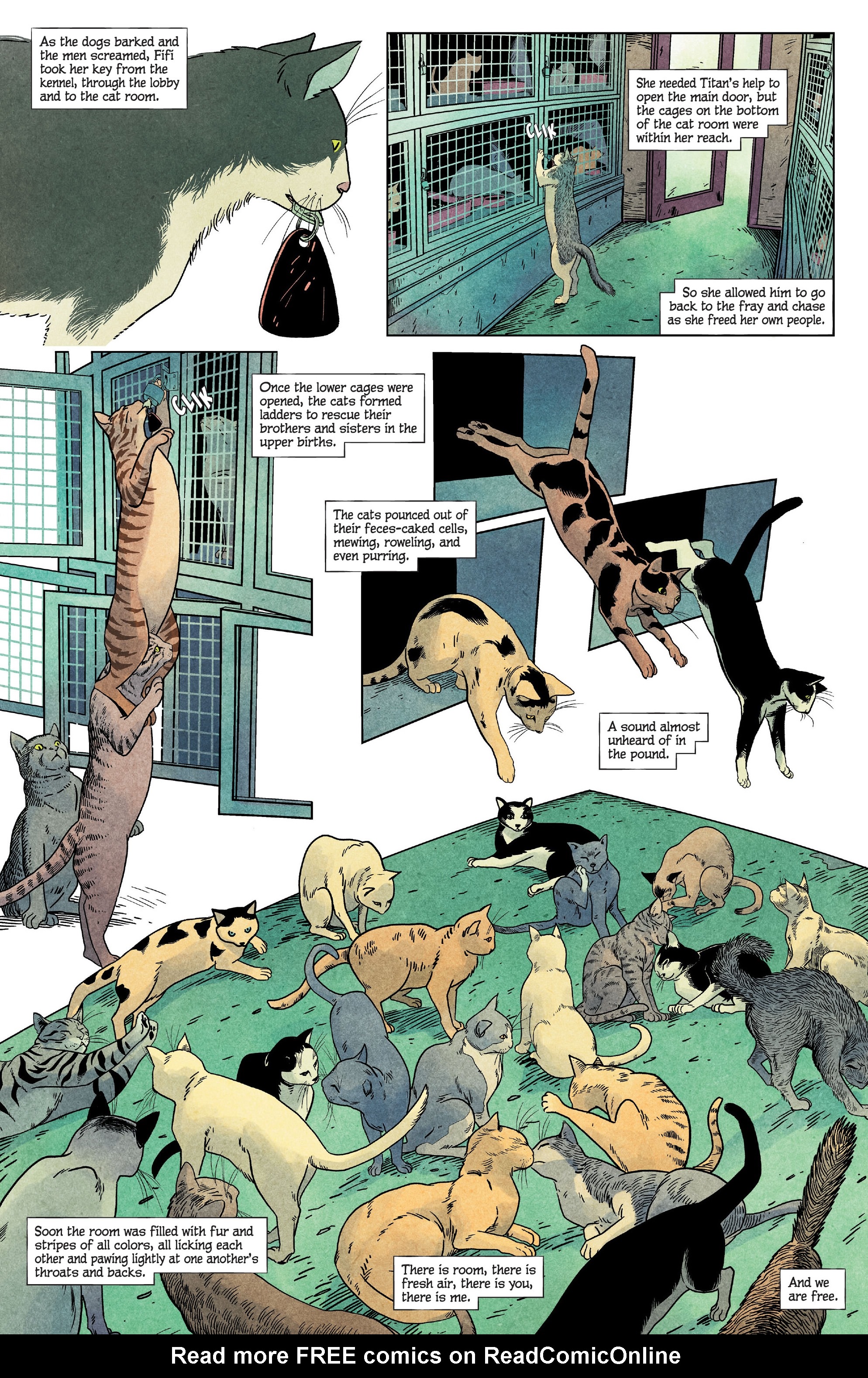 Read online Animal Pound comic -  Issue #1 - 24