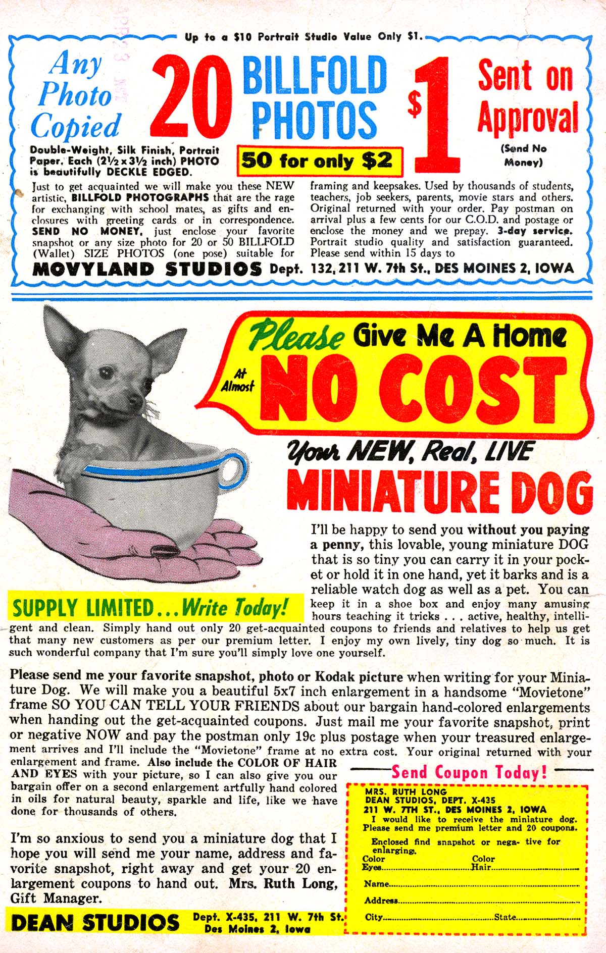 Read online Peter Panda comic -  Issue #18 - 36